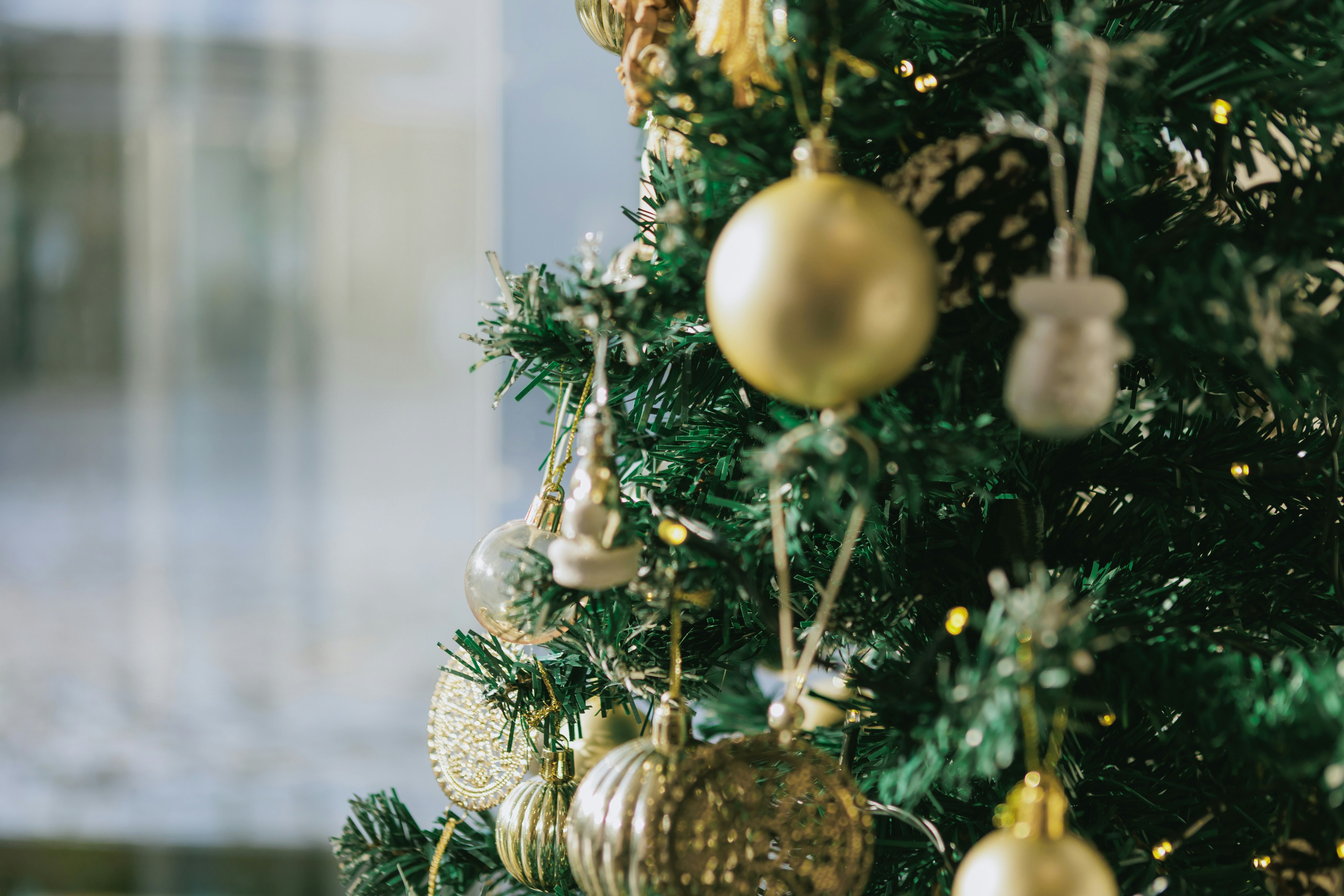 2025-12-christmas-image-4