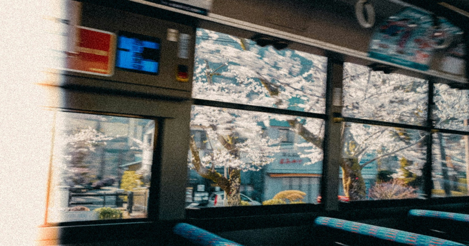 2025-03-beyond-the-window-award-cover-image