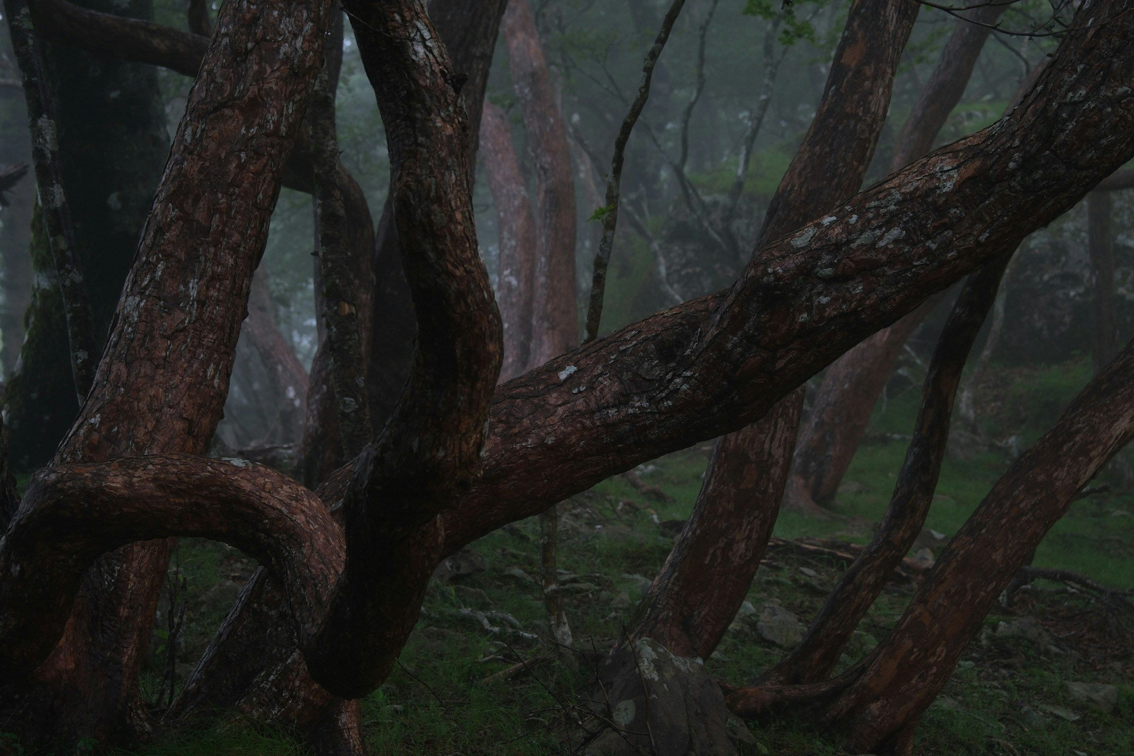 Image by crossroad0201