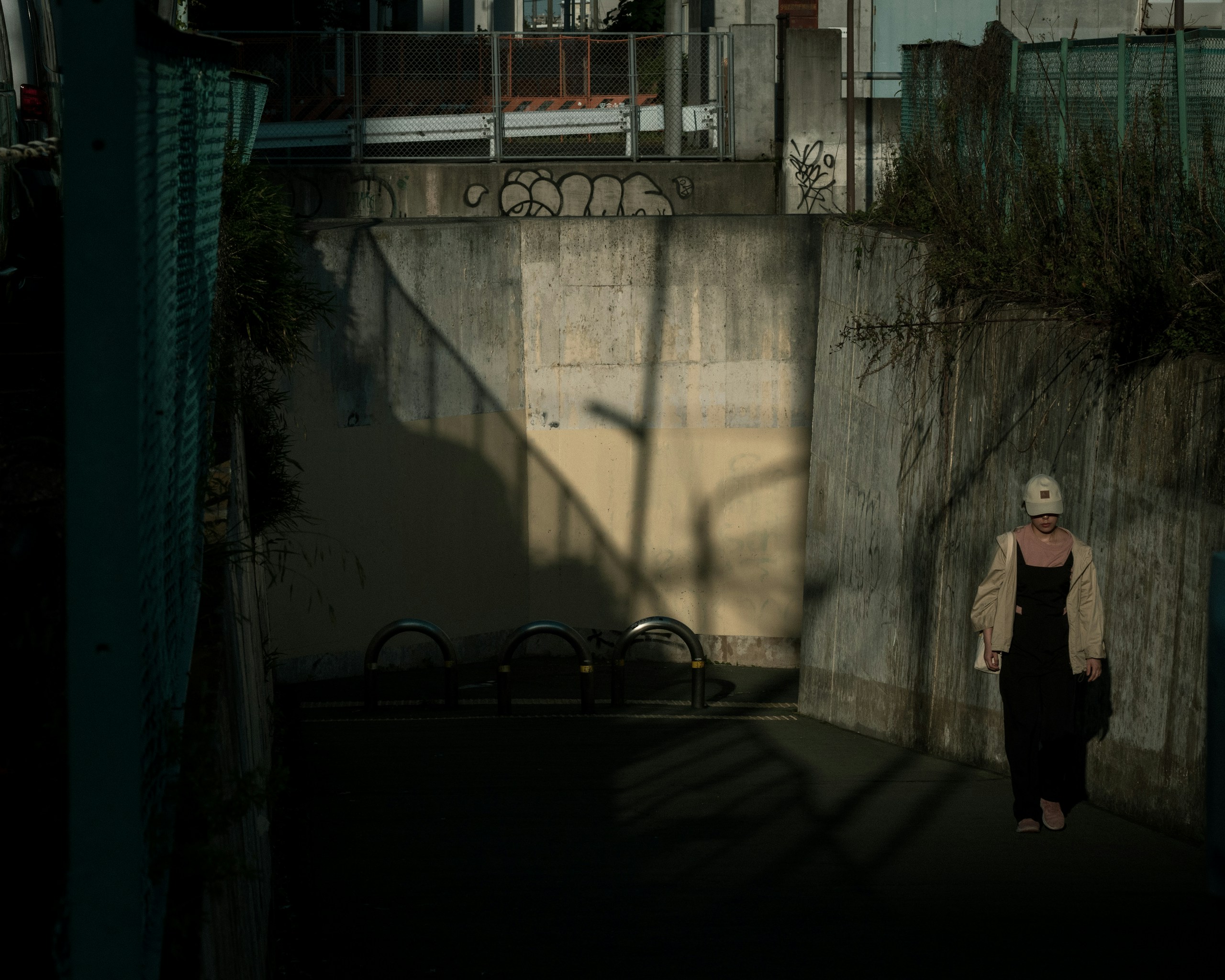 Image by Amo