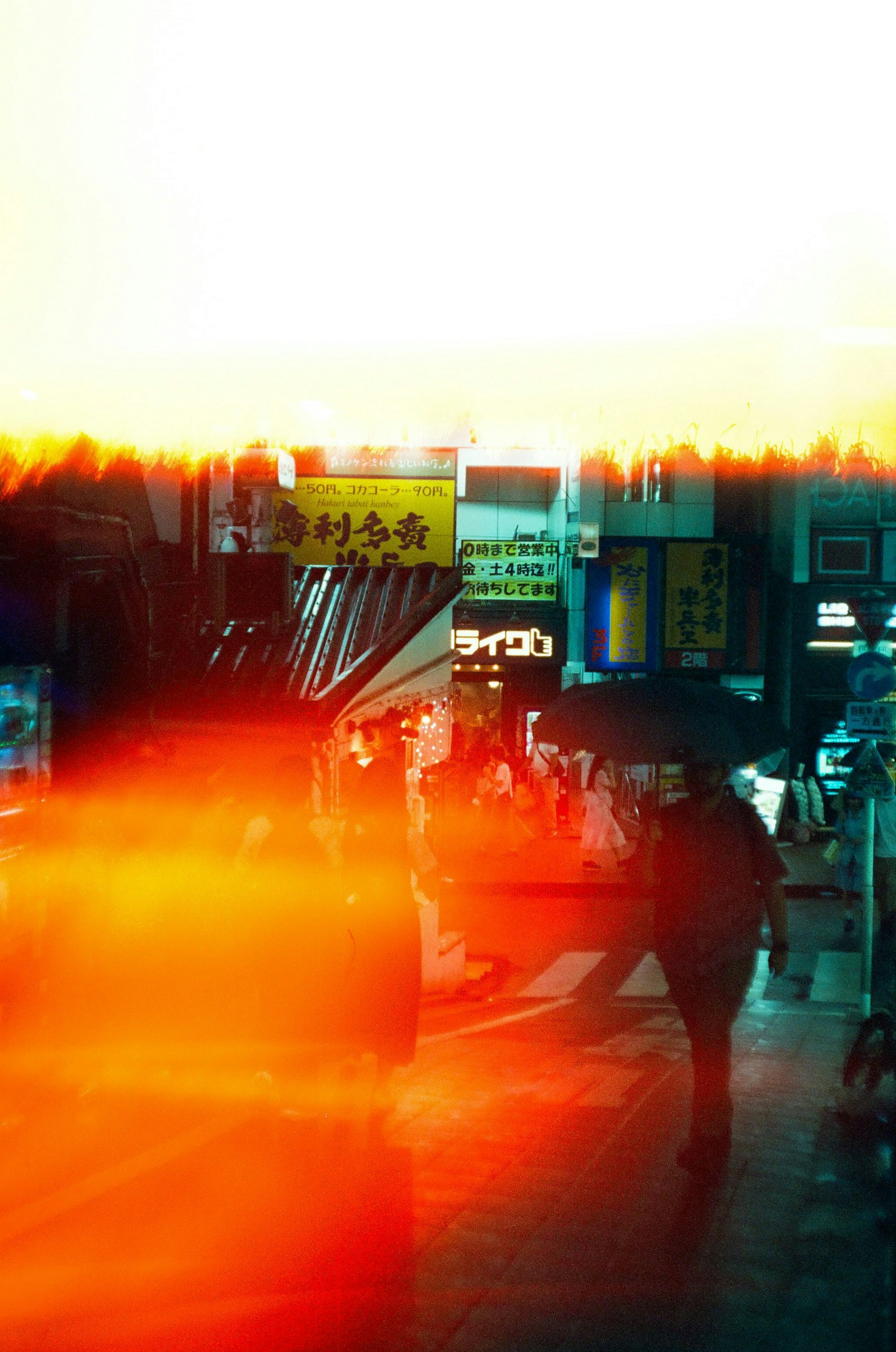 2025-07-are-bure-bokeh-image-2