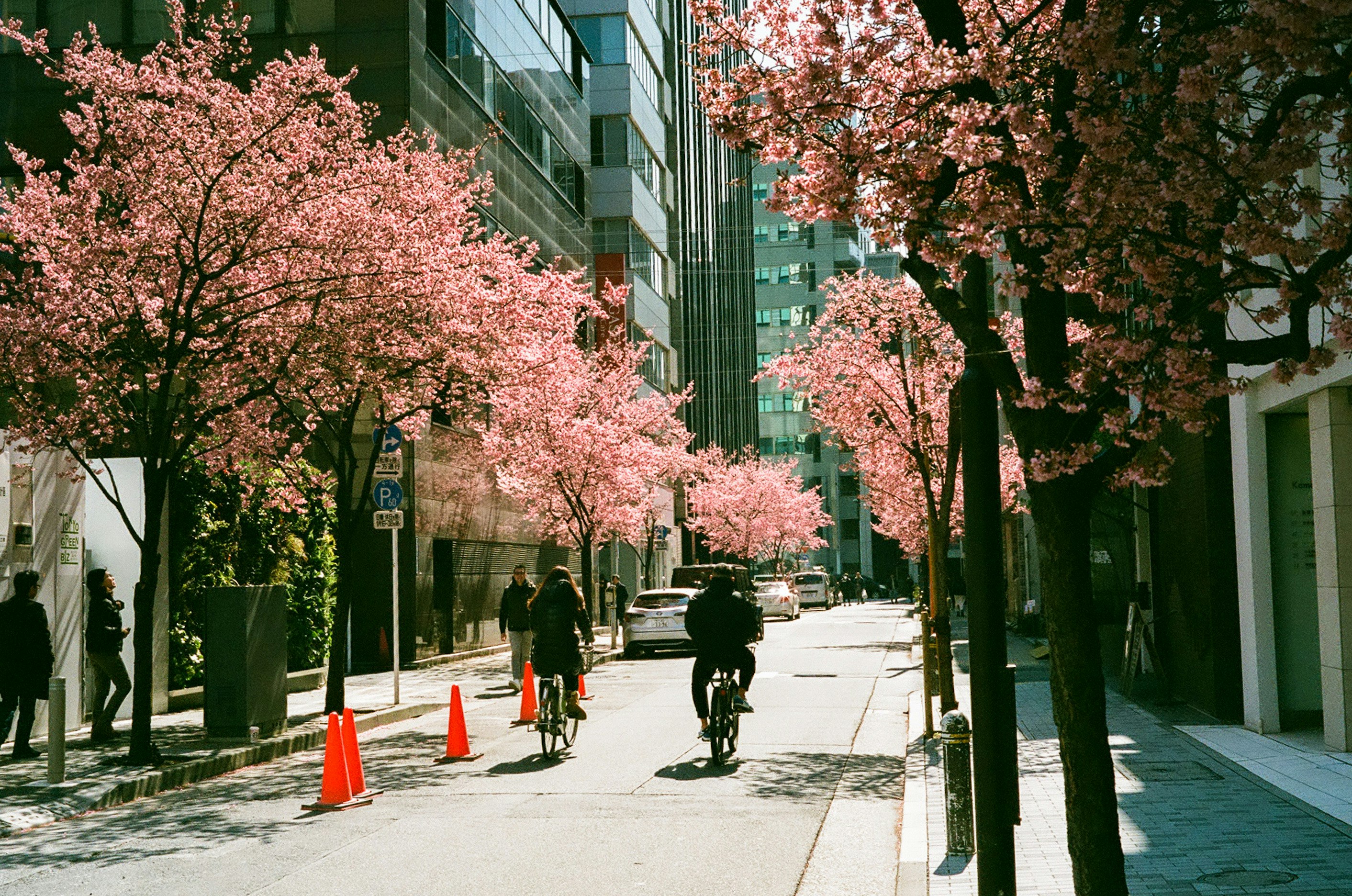 2026-04-film-look-photography-cover-image