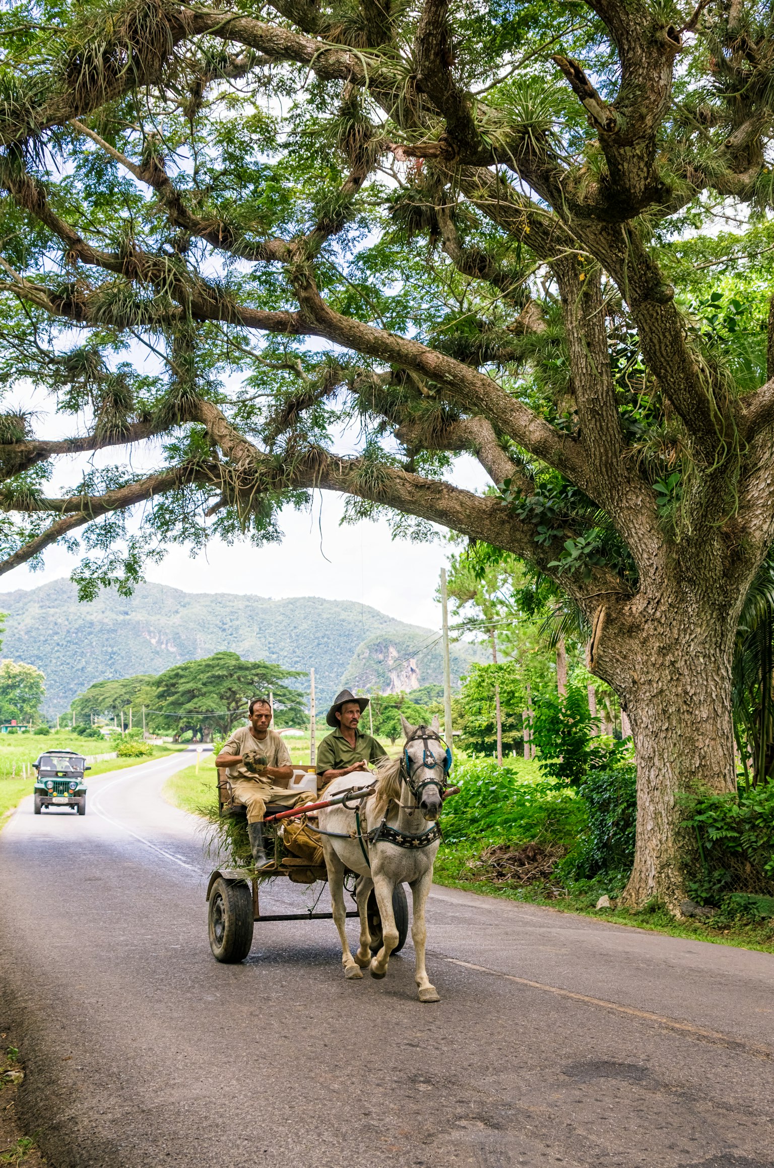 2023-10-world-animal-day-image-7