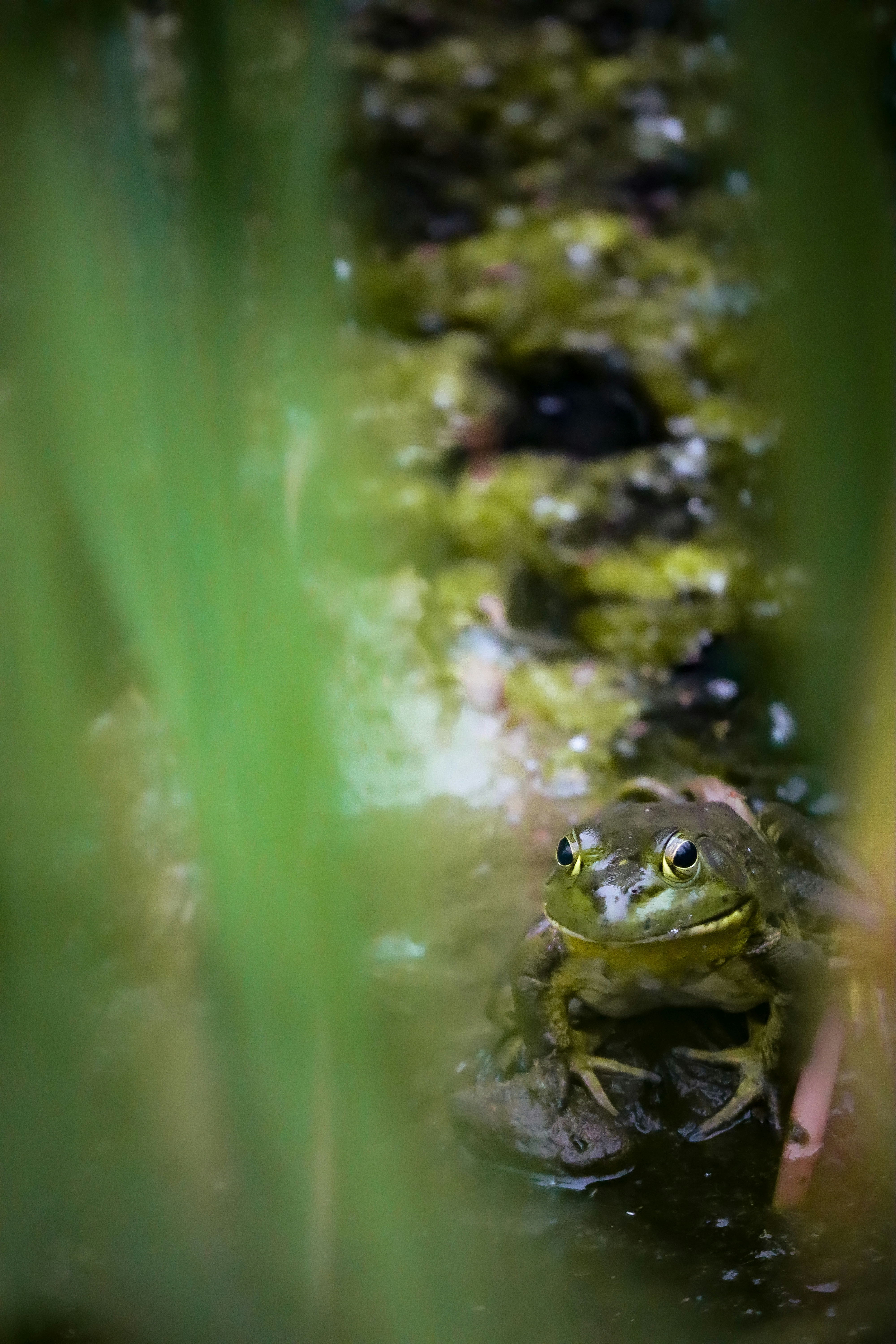 2026-06-green-hours-image-12