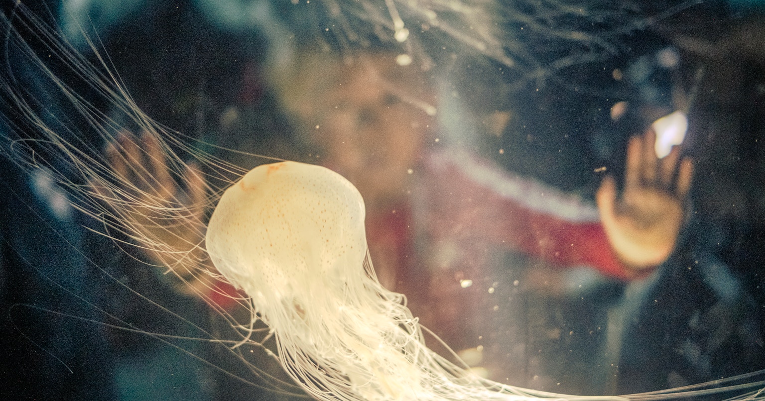 2024-02-new-year-resolution-award-cover-image