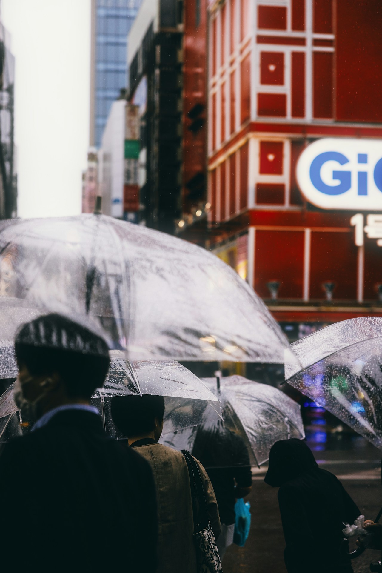 圖片由 ek_photofeeling 提供