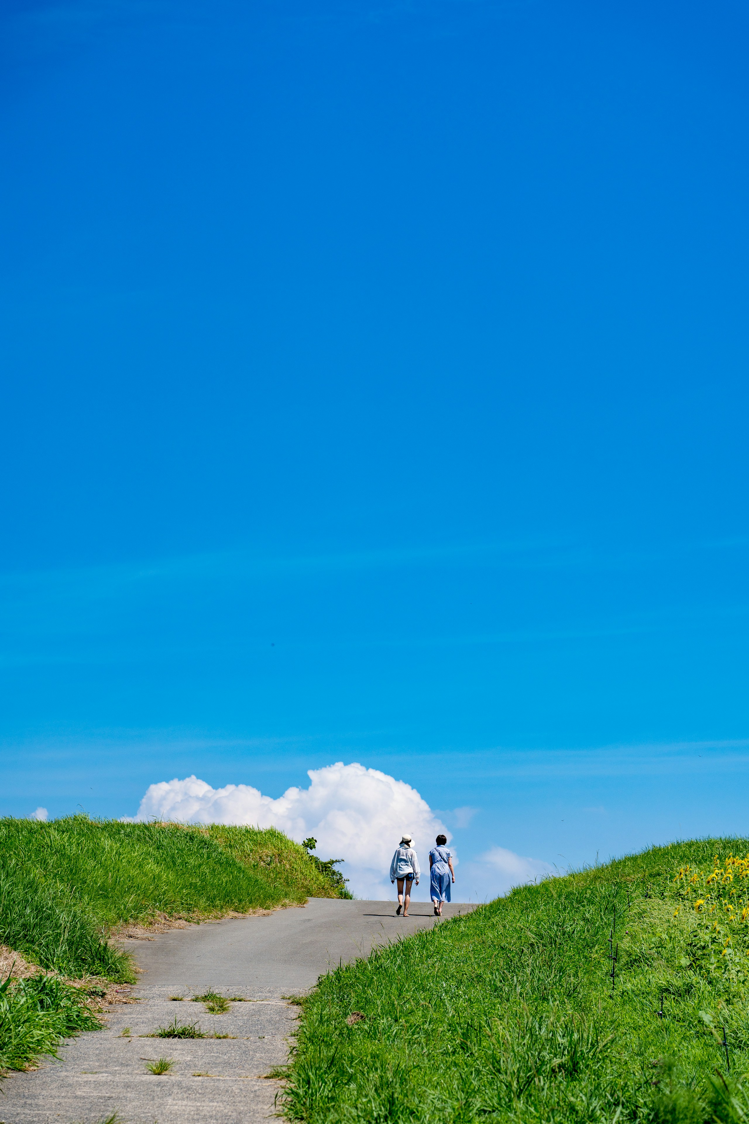 2024-11-way-we-wander-award-image-8