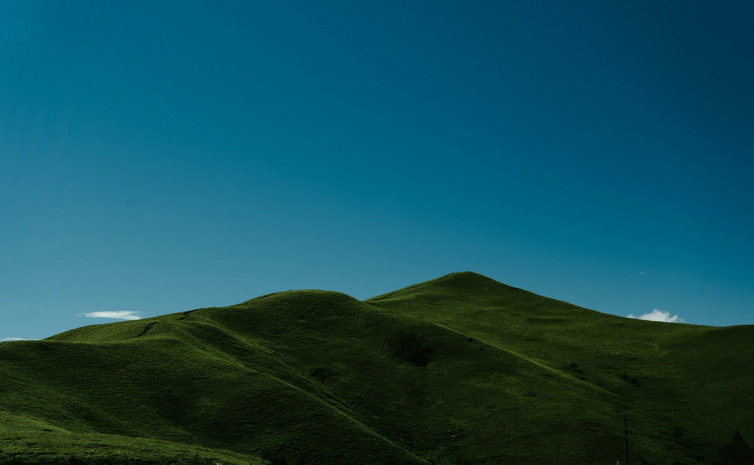 2025-08-summer-green-award-image-11