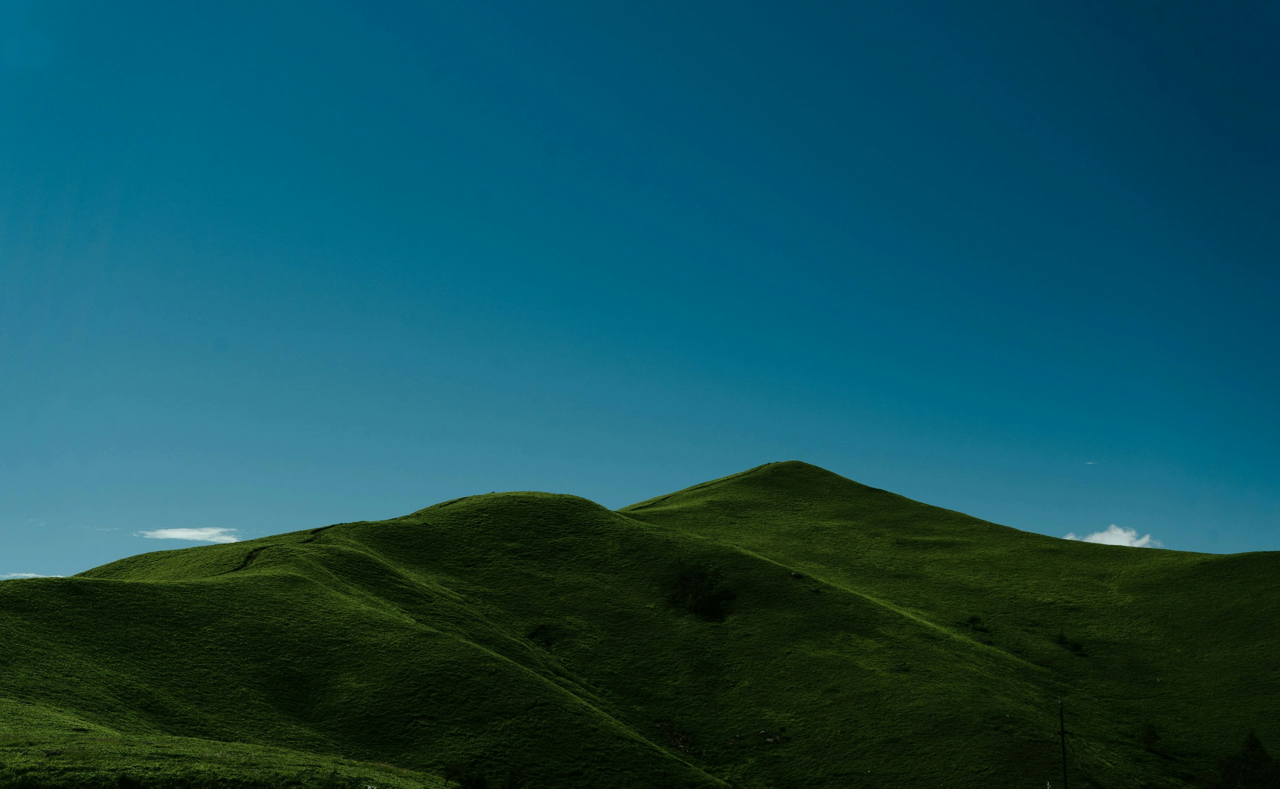 2025-08-summer-green-award-image-13