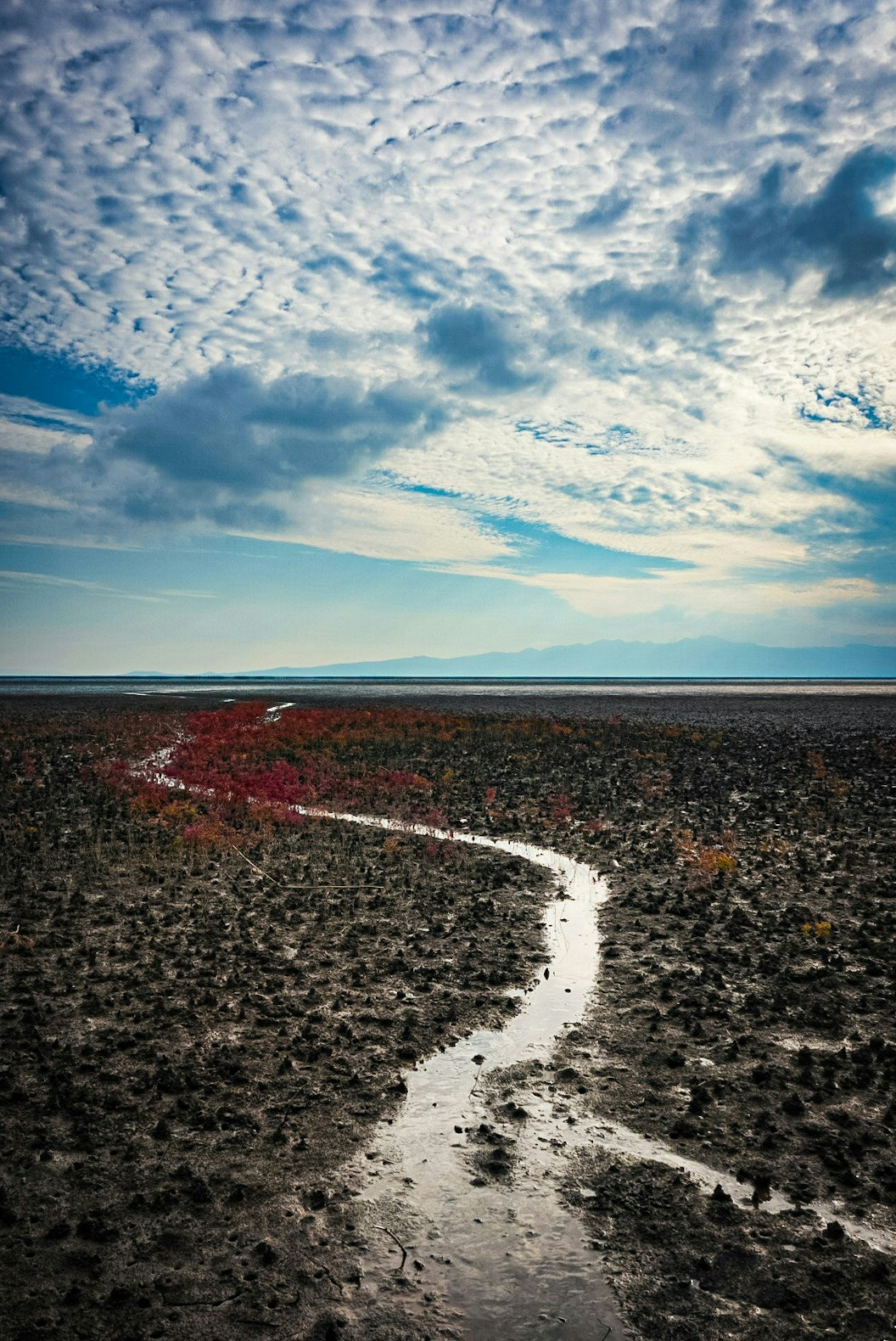 2025-07-google-photo-to-video-ai-update-image-4