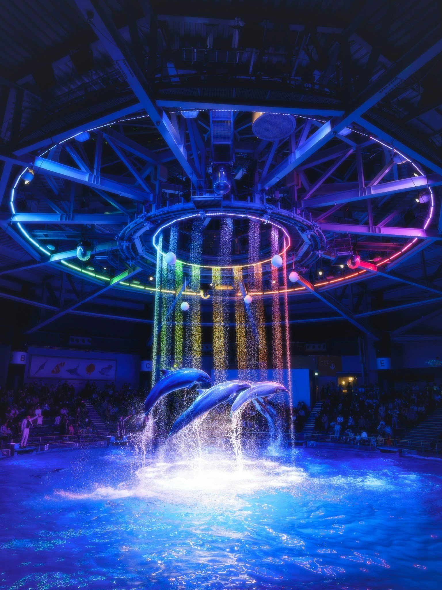 2024-05-aquarium-image-21