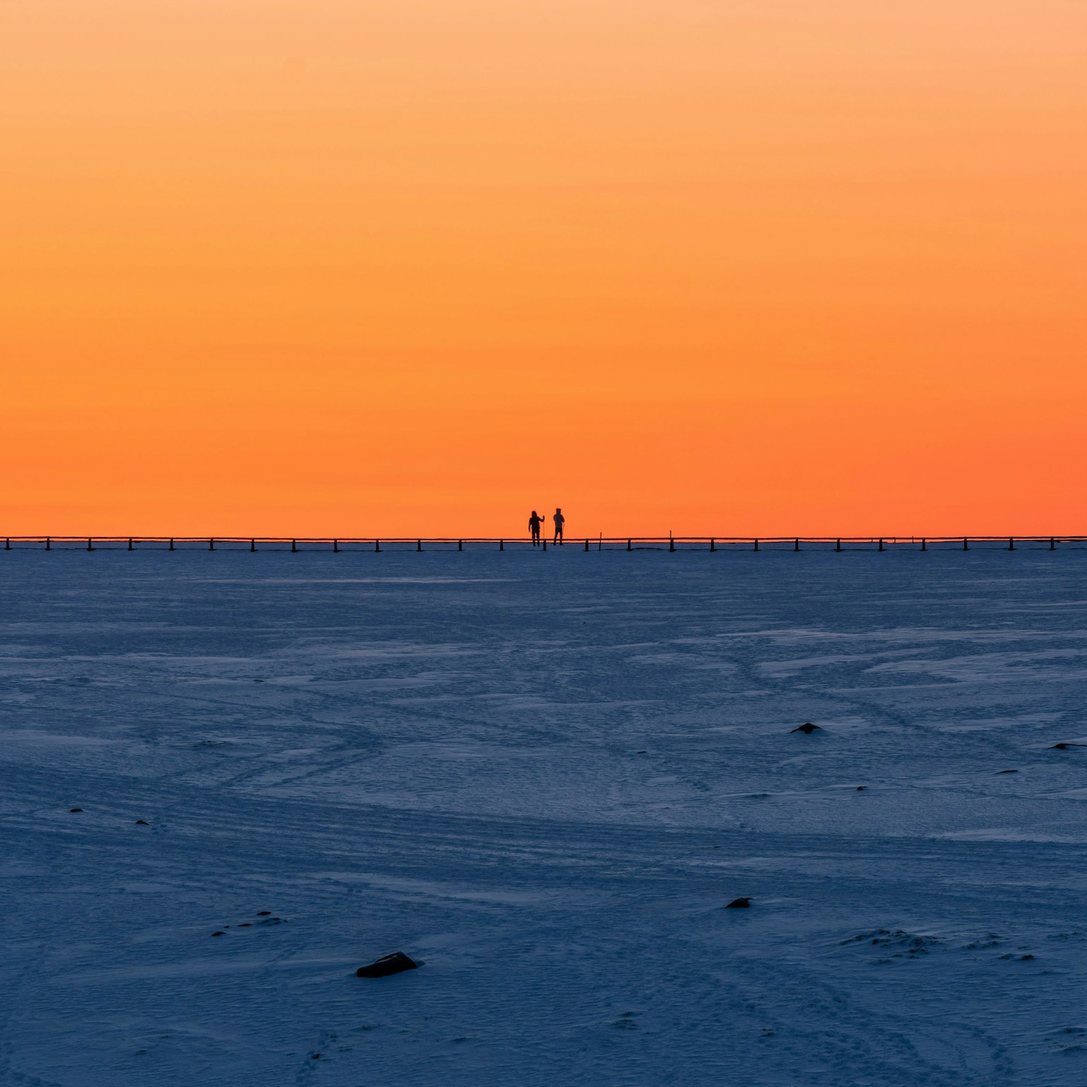 2024-11-timeless-field-image-8