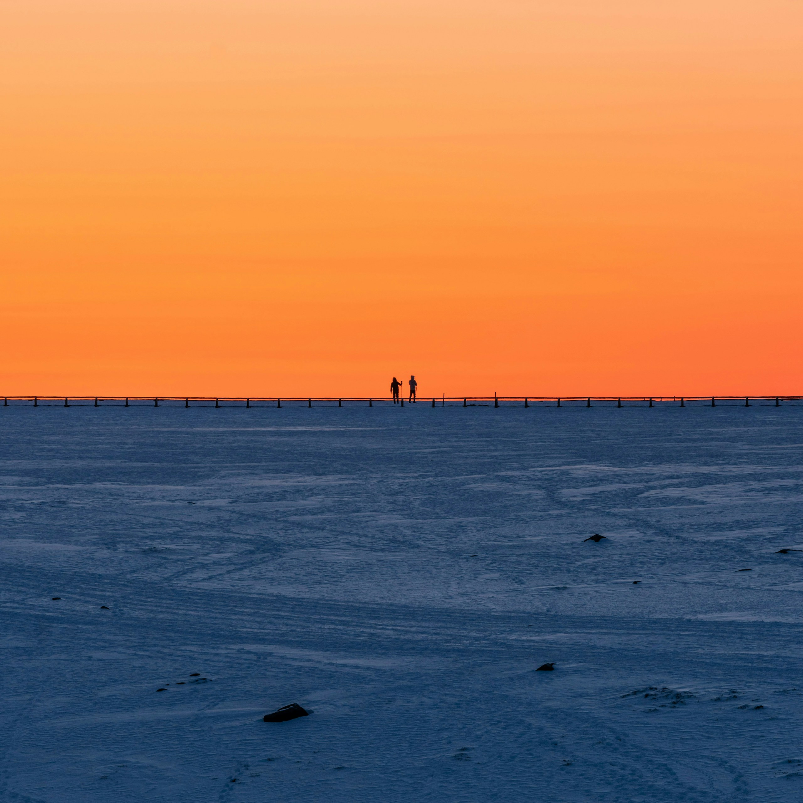 2024-11-timeless-field-image-8