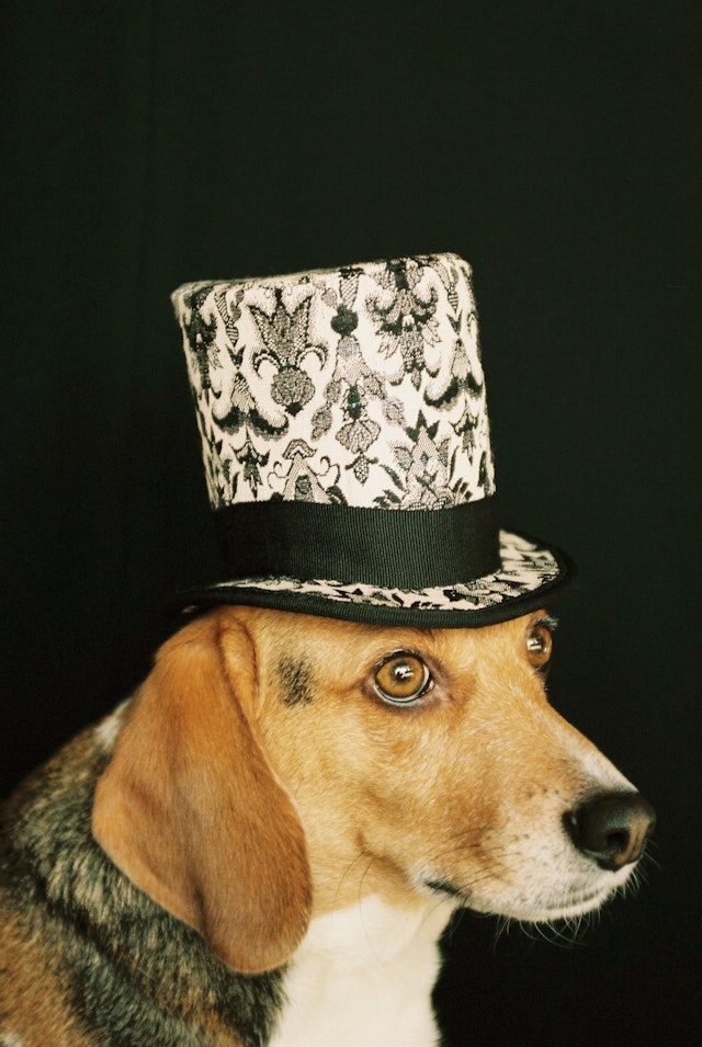 2024-06-focus-on-culture-image-5