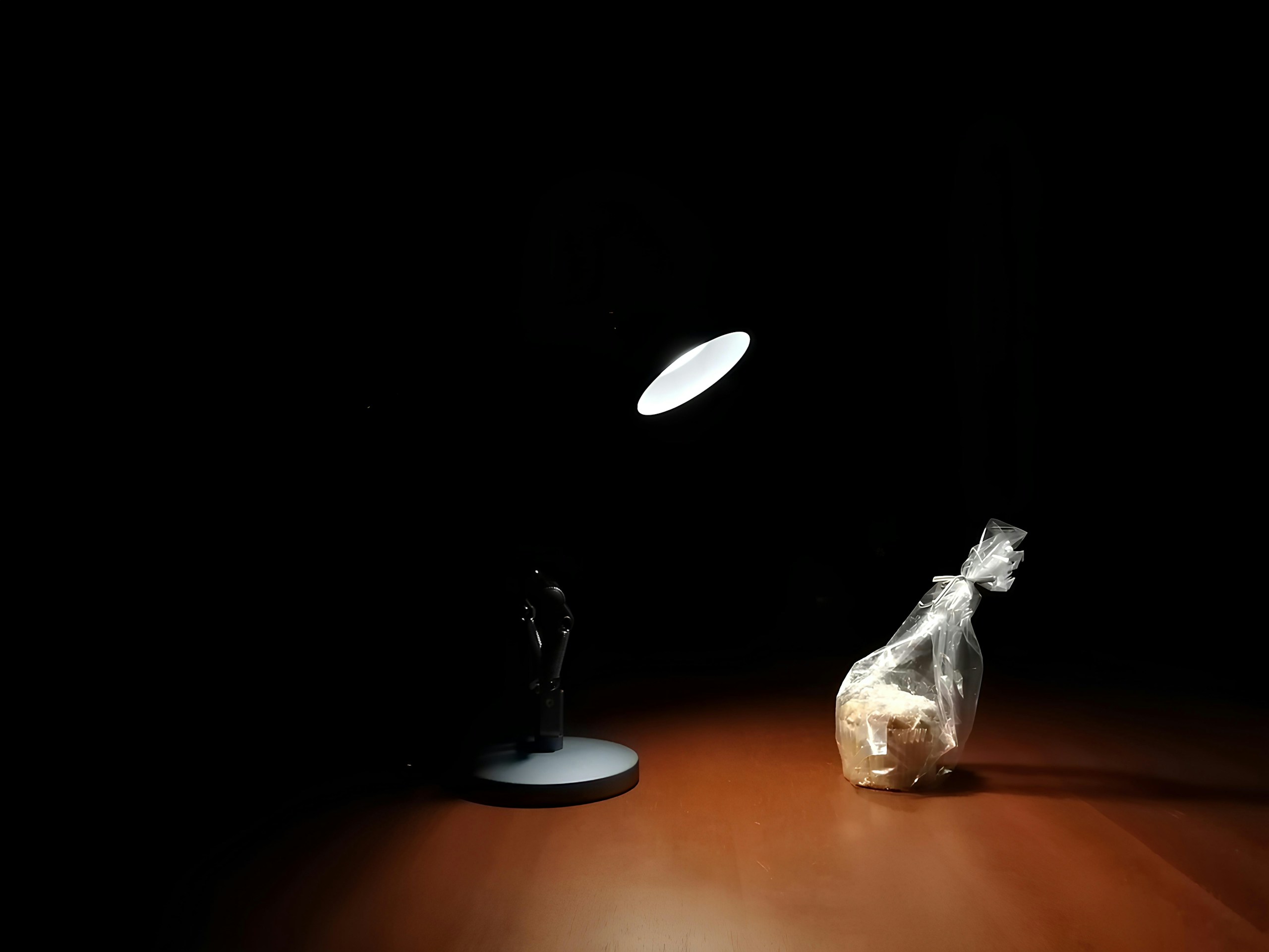 2024-03-walikng-in-the-night-snap-image-5