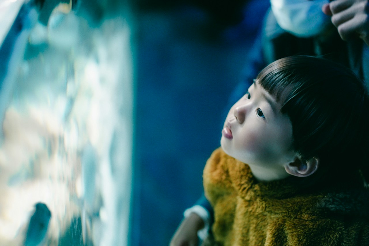 Image by fujikko