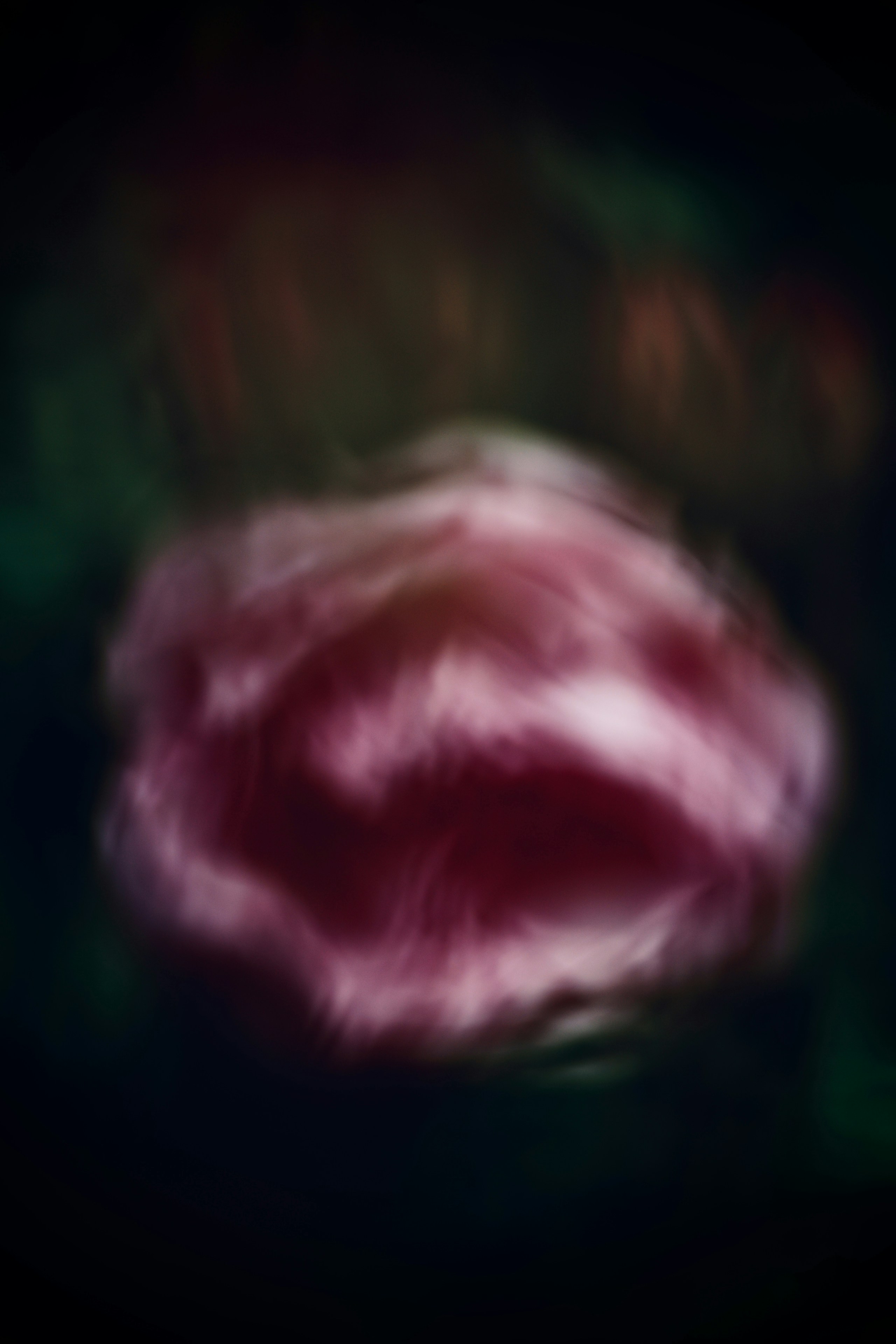 2026-05-bokeh-report-image-9
