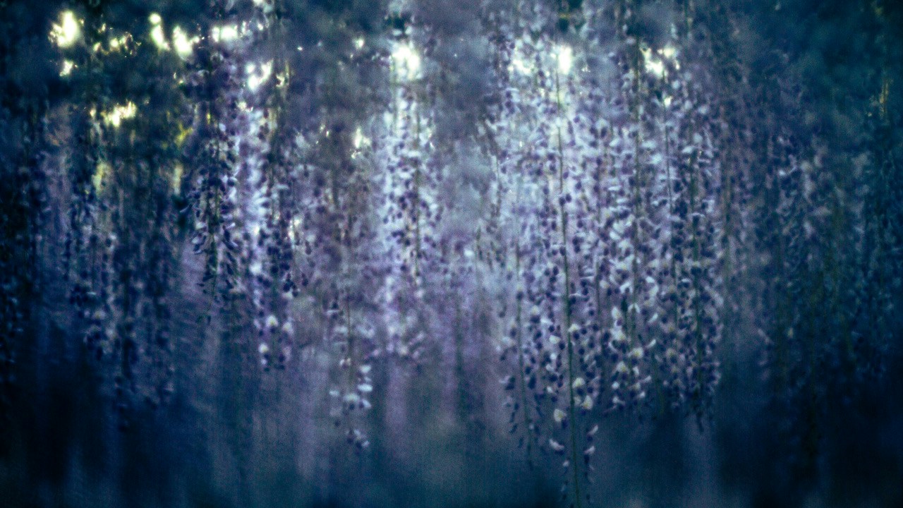 Image by hide