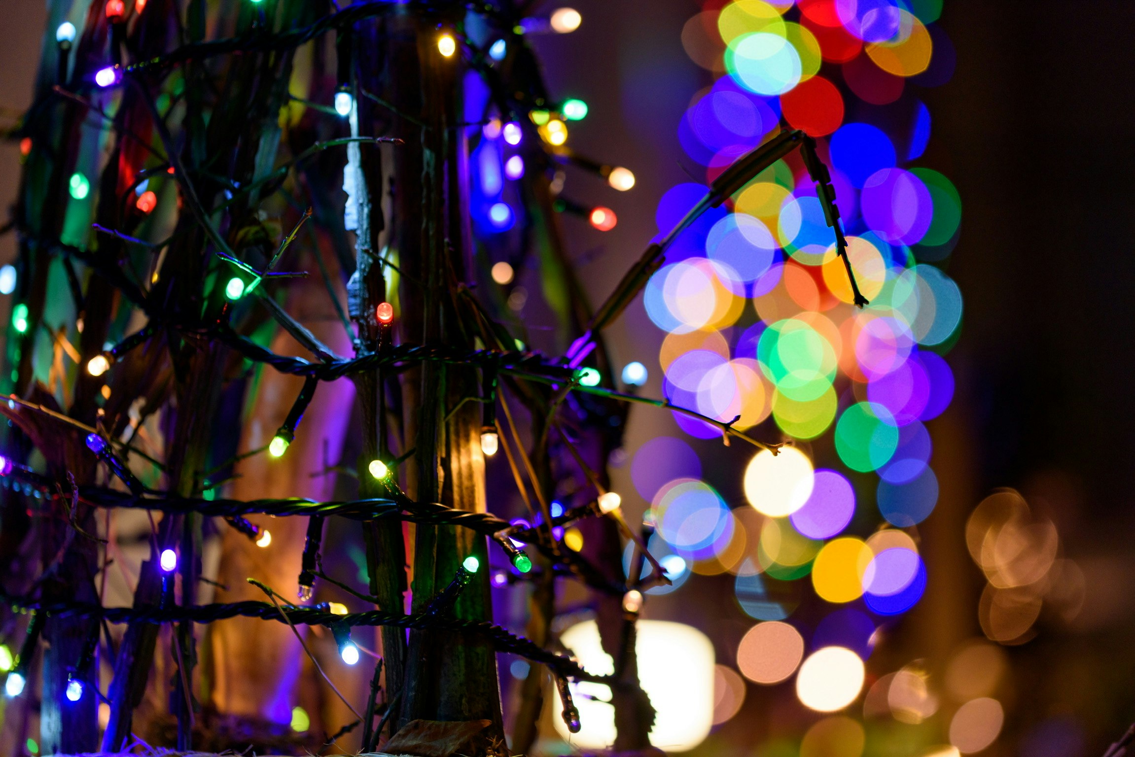 2025-12-december-photography-subjects-image-20