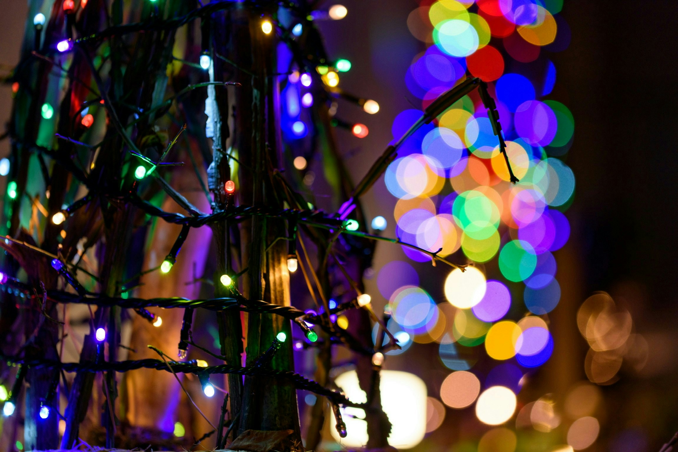 2025-12-december-photography-subjects-image-20