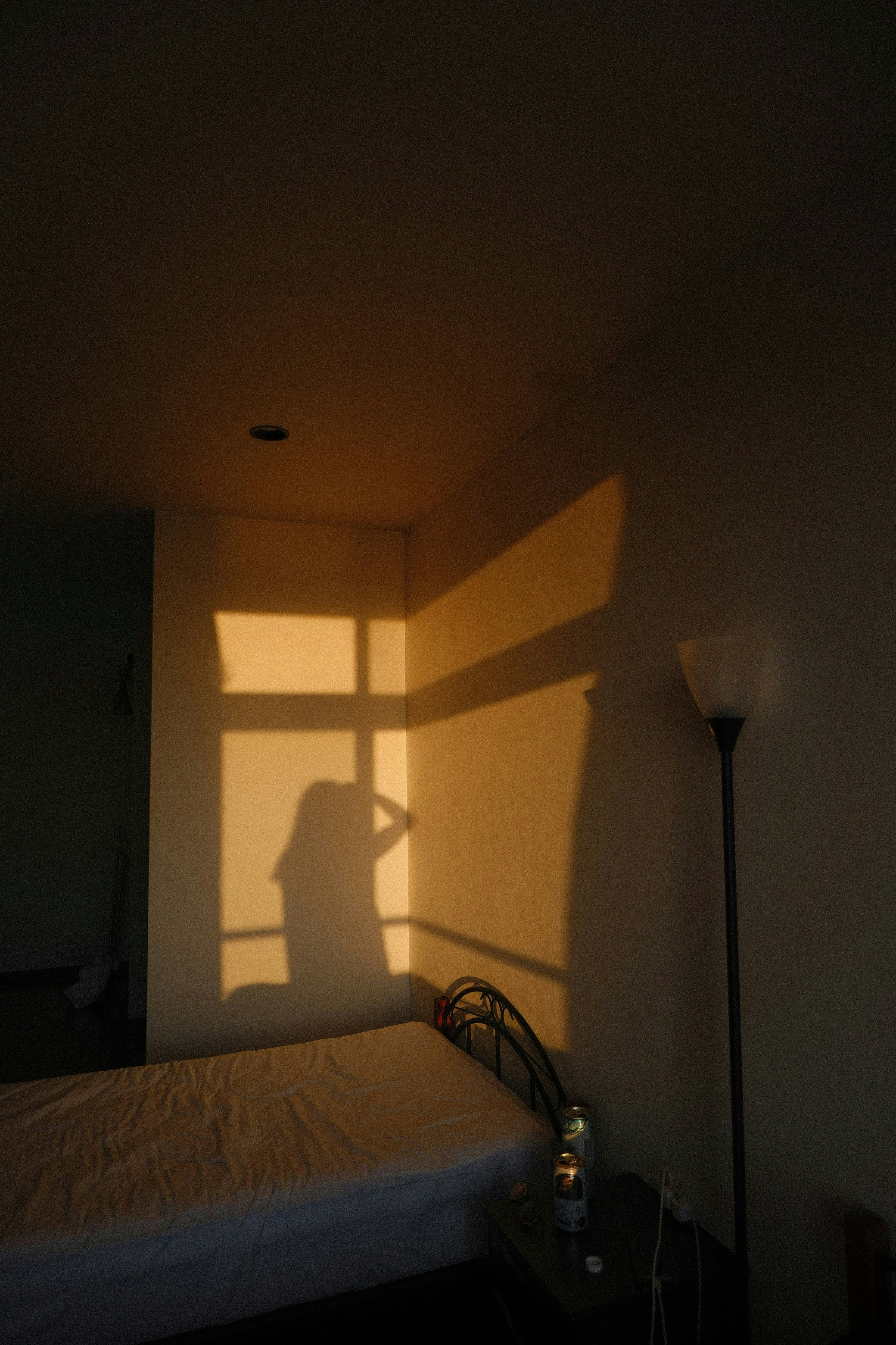 2026-05-where-light-falls-award-image-10
