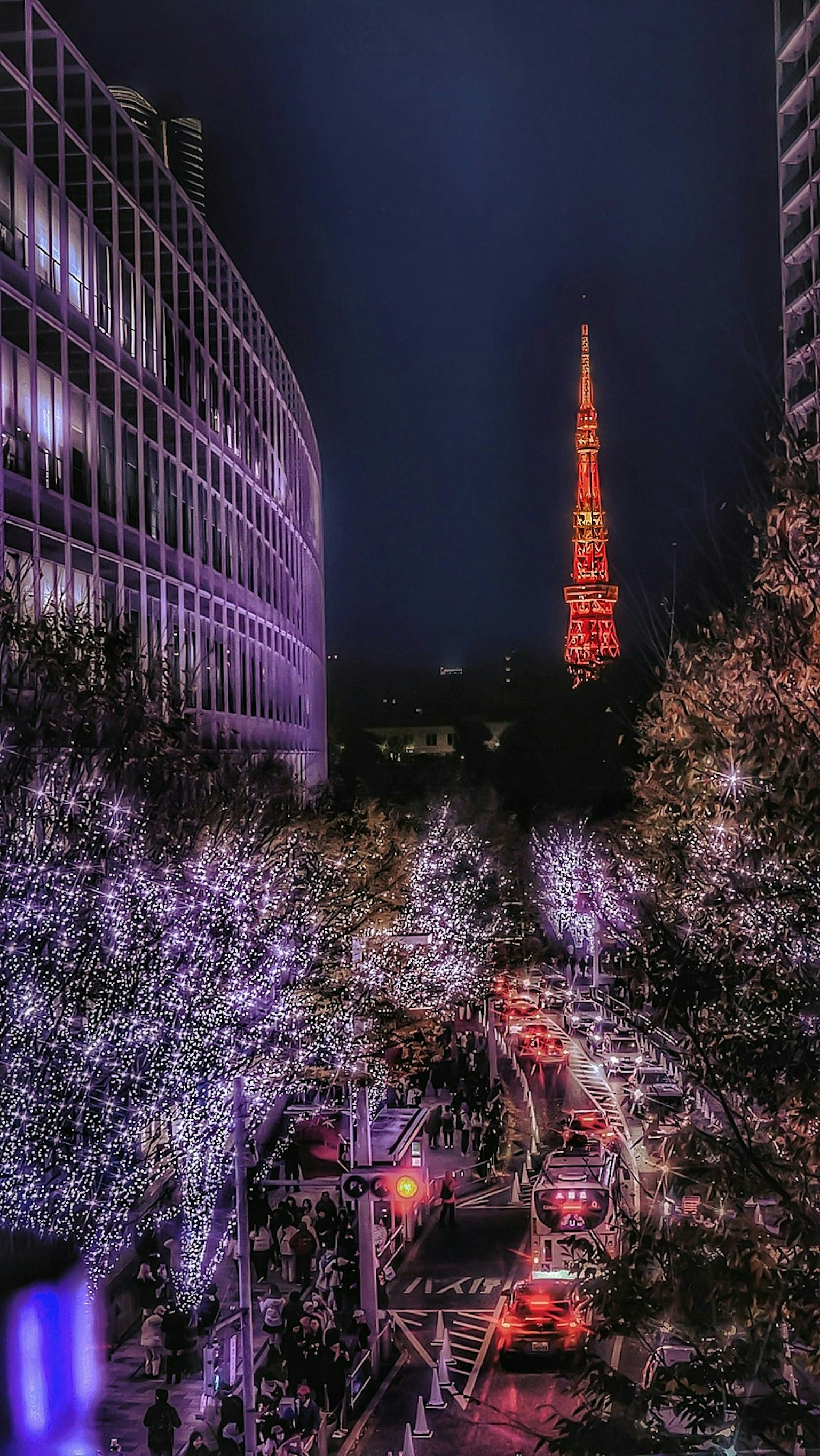 2025-12-enjoy-shooting-illuminations-image-4