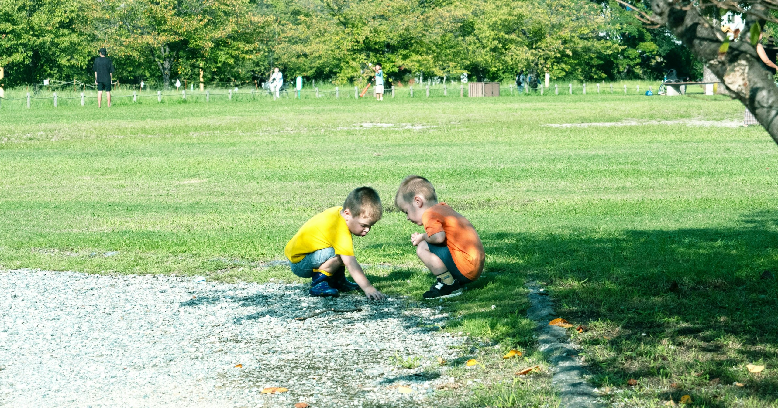 cizucu主宰『Autumn, Arriving』| Challenge #422