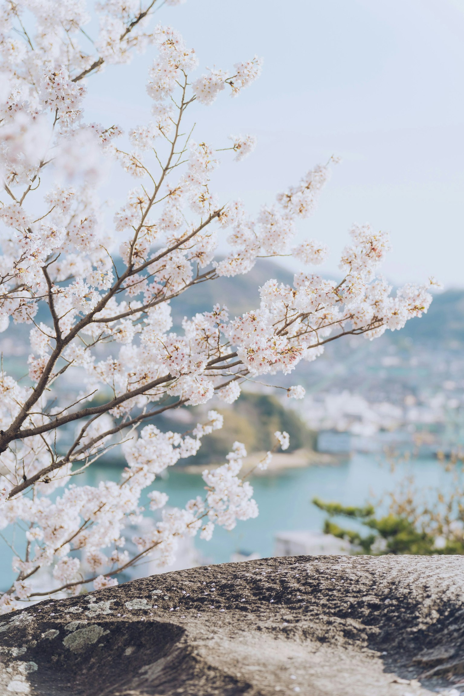 2025-11-hiroshima-onomichi-spots-by-masato-a-image-15