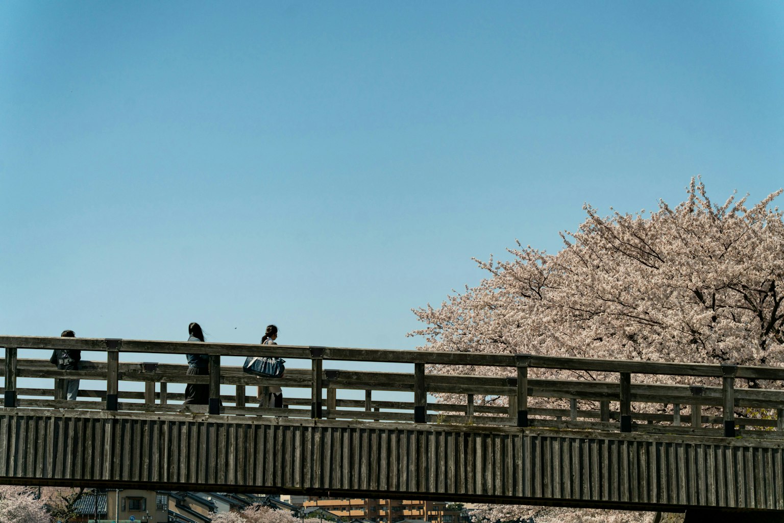 2025-02-kanazawa-image-12