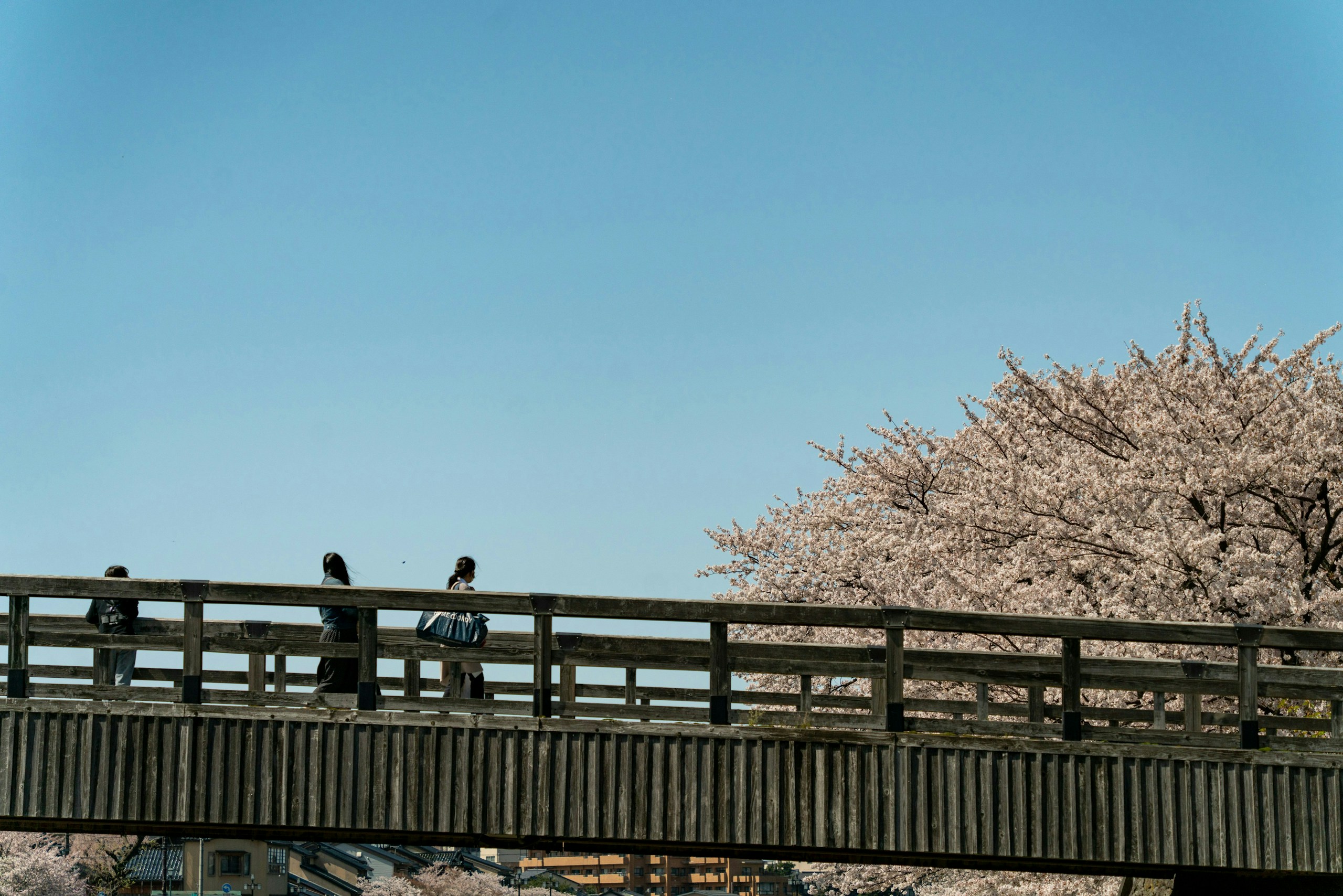2025-02-kanazawa-image-12