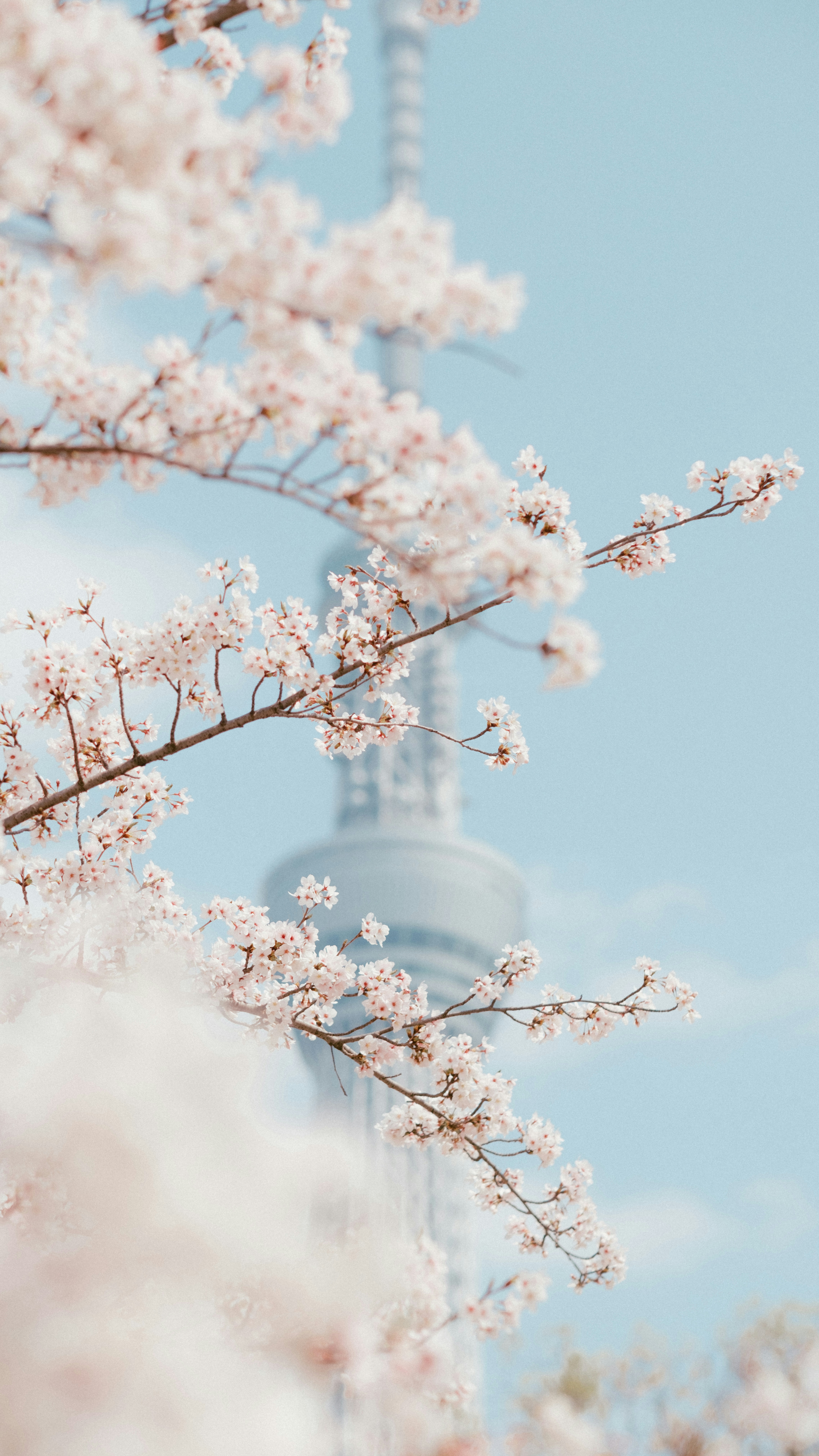 2026-07-find-new-pieces-fujifilm-image-28