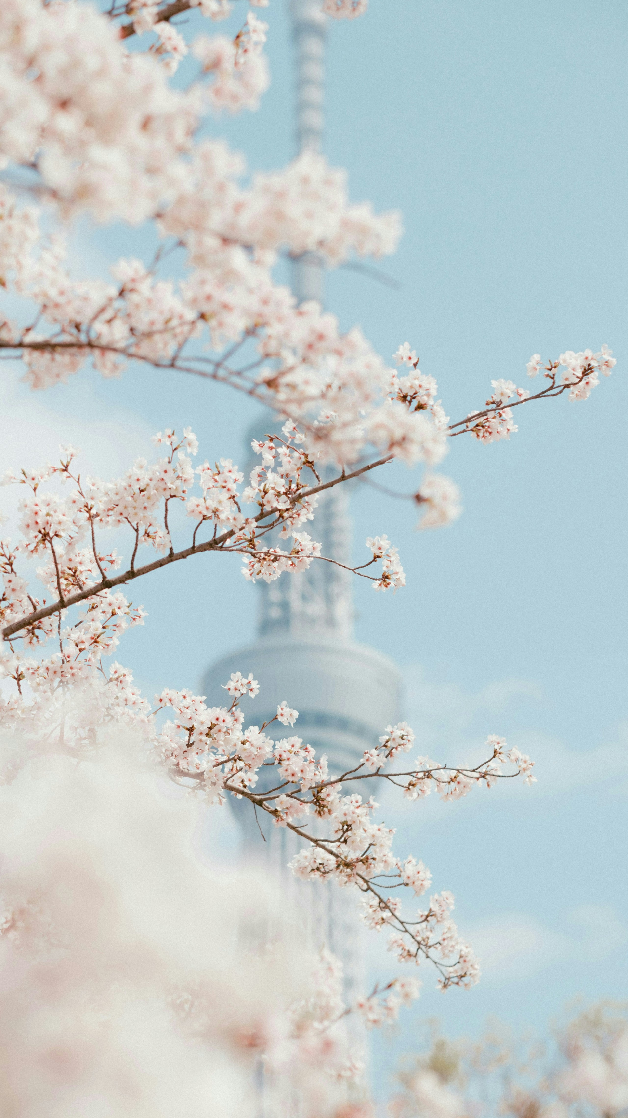 2026-07-find-new-pieces-fujifilm-image-28