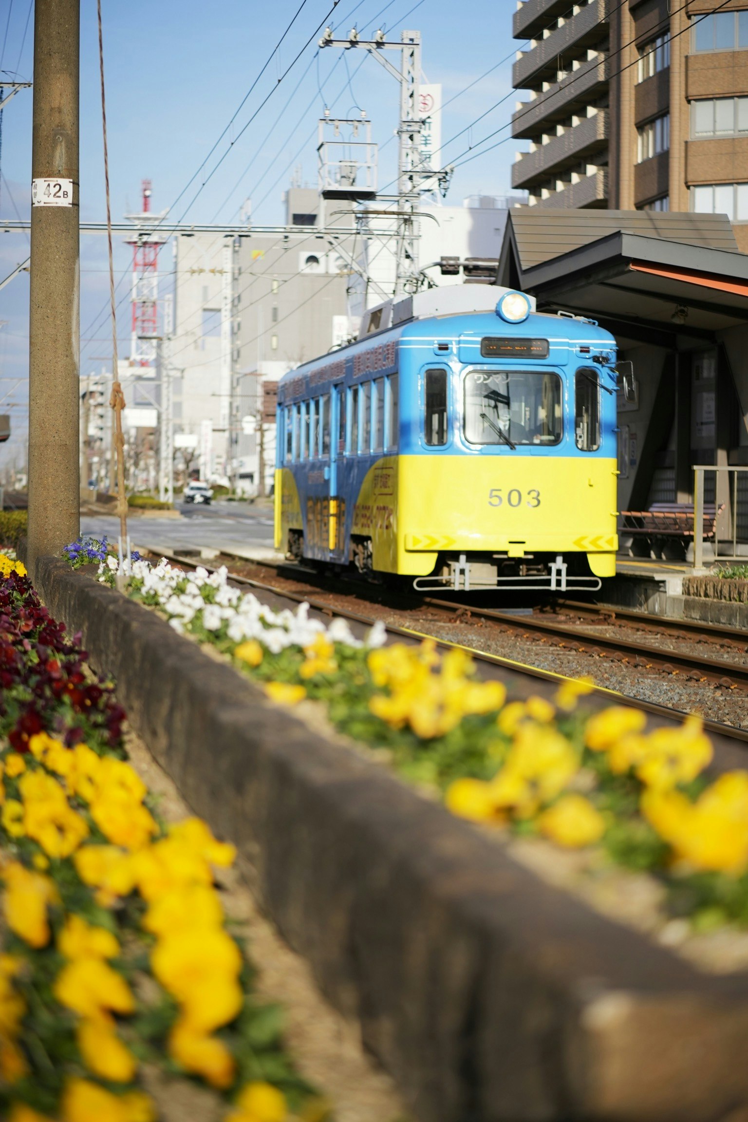 2024-02-sakai-colorful-journey-award-image-21