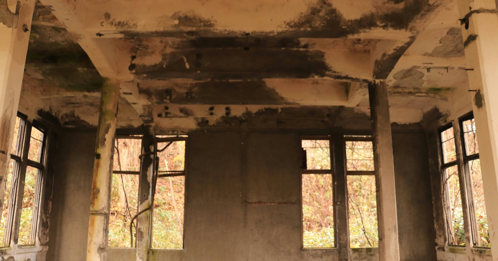 Why Do We Feel Compelled to Photograph Ruins? | Knowledge #340