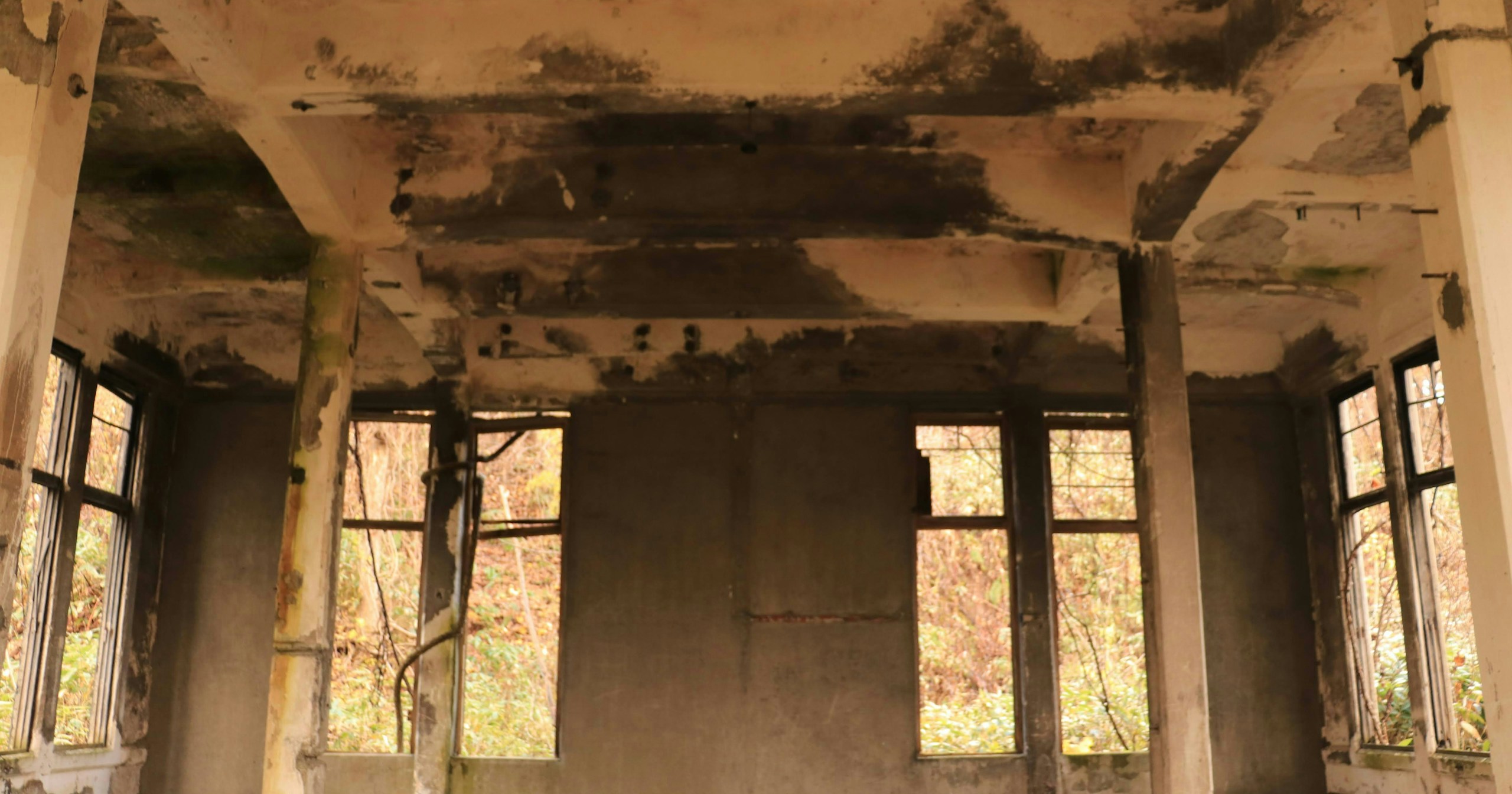 Why Do We Feel Compelled to Photograph Ruins? | Knowledge #340