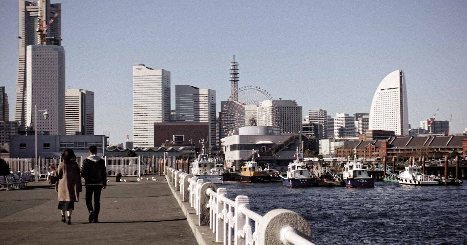 7 magasins de photographie à visiter à Yokohama | Knowledge #149