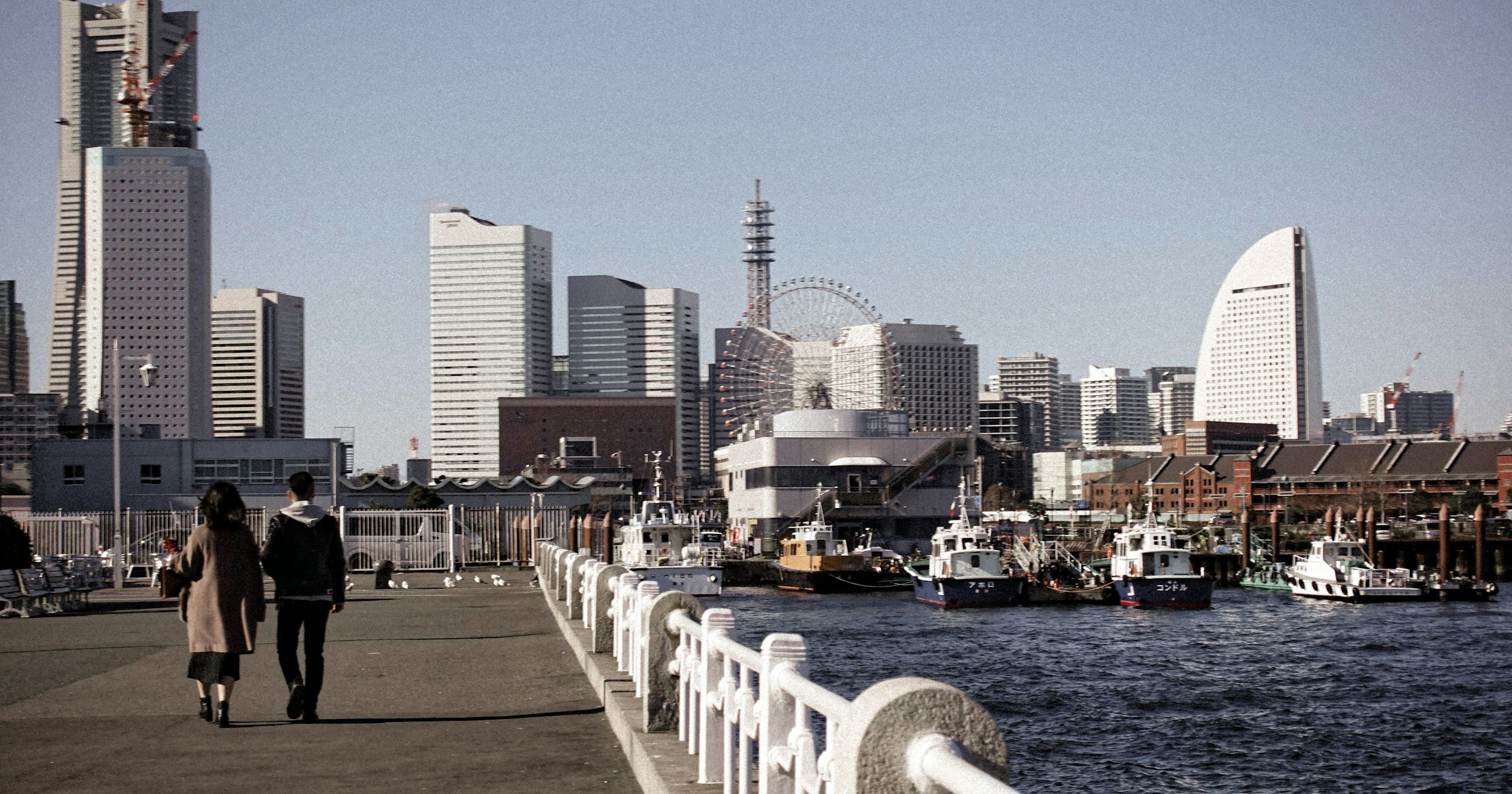 7 magasins de photographie à visiter à Yokohama | Knowledge #149