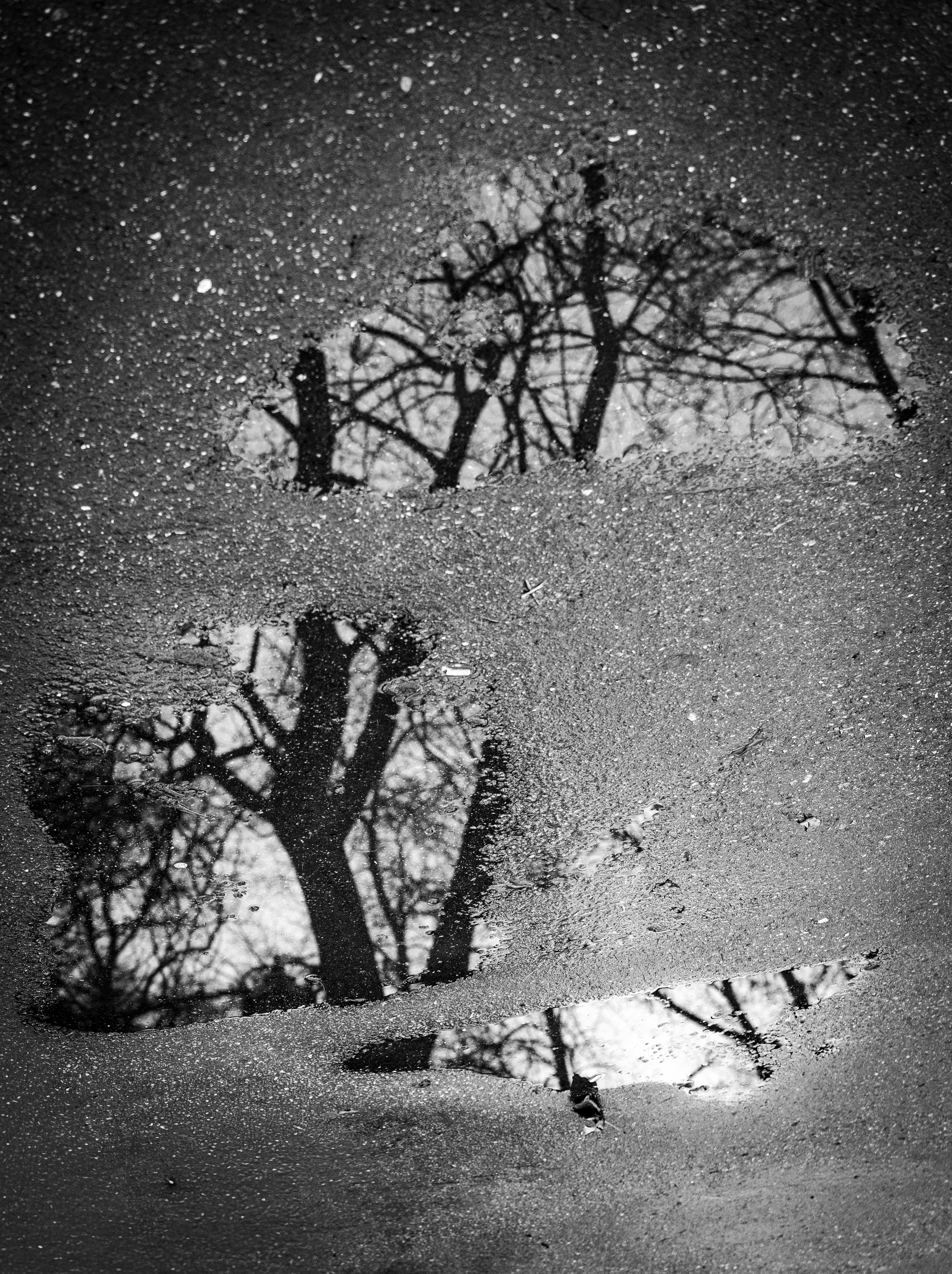 Photo by mattbrowsky