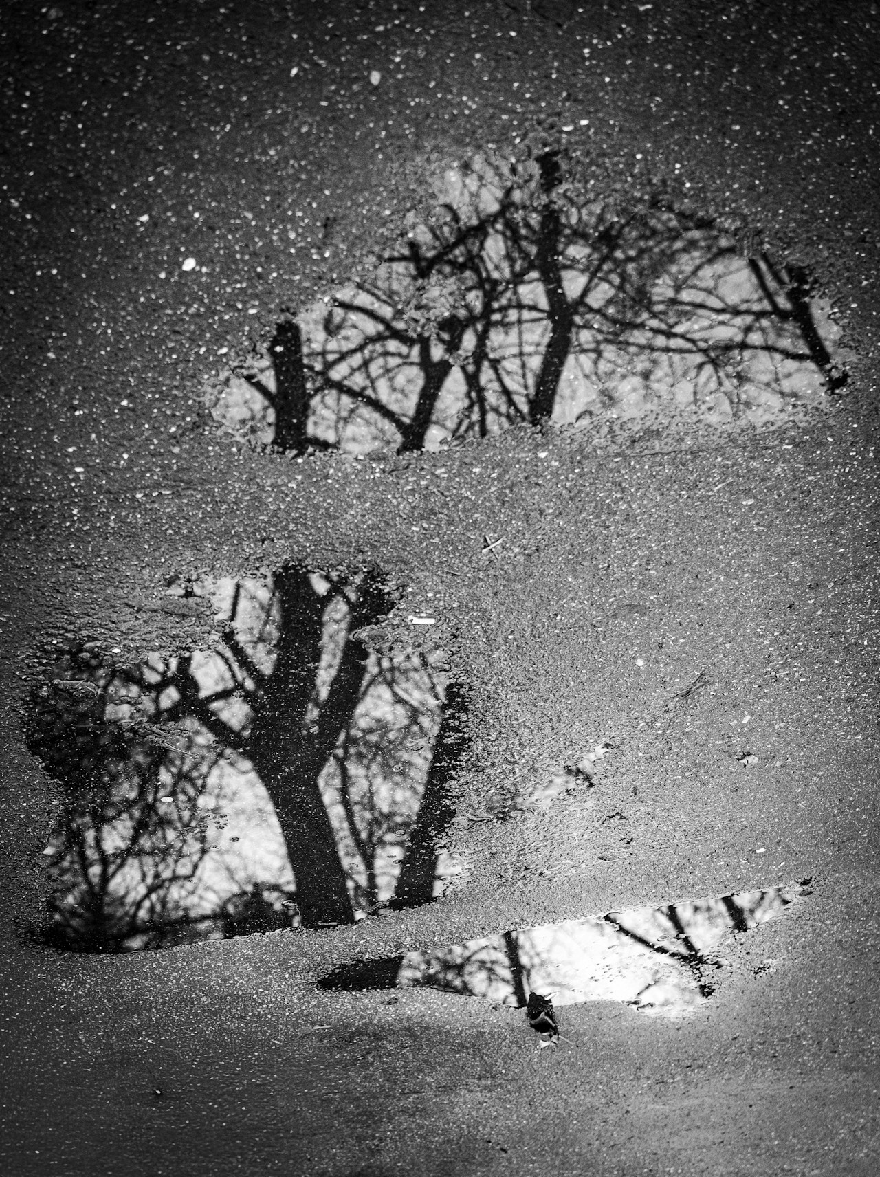 Photo by mattbrowsky