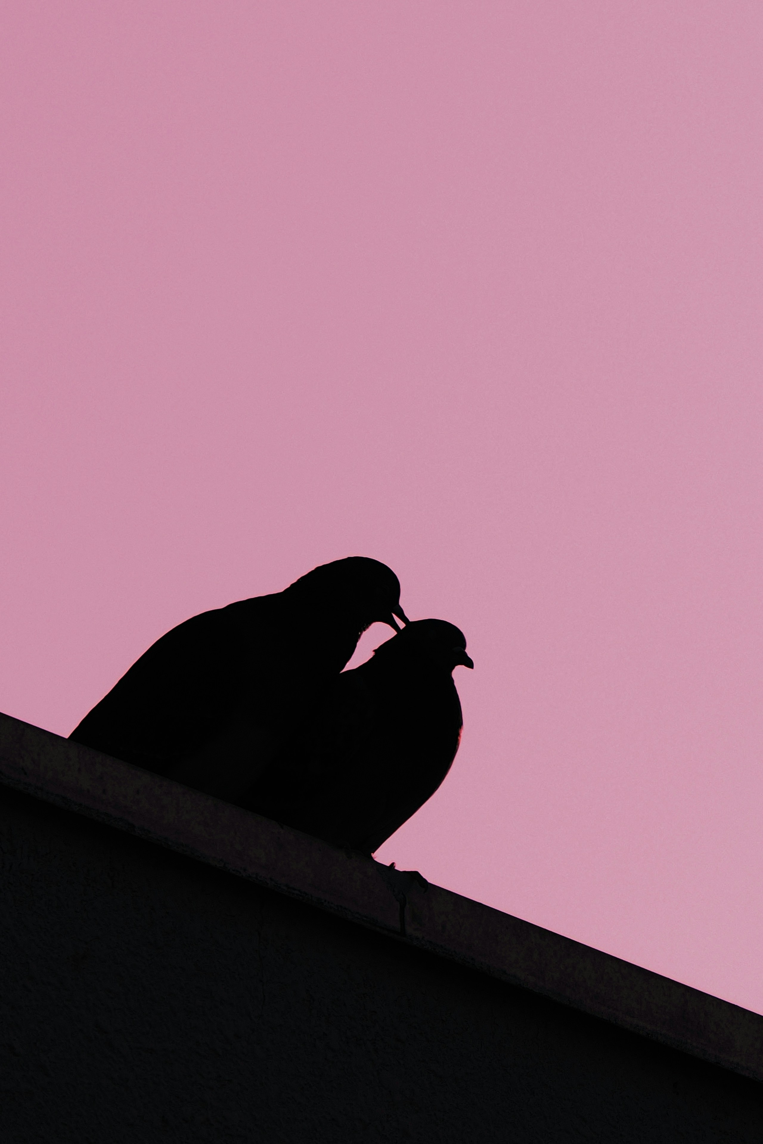 2026-05-surreal-report-image-5