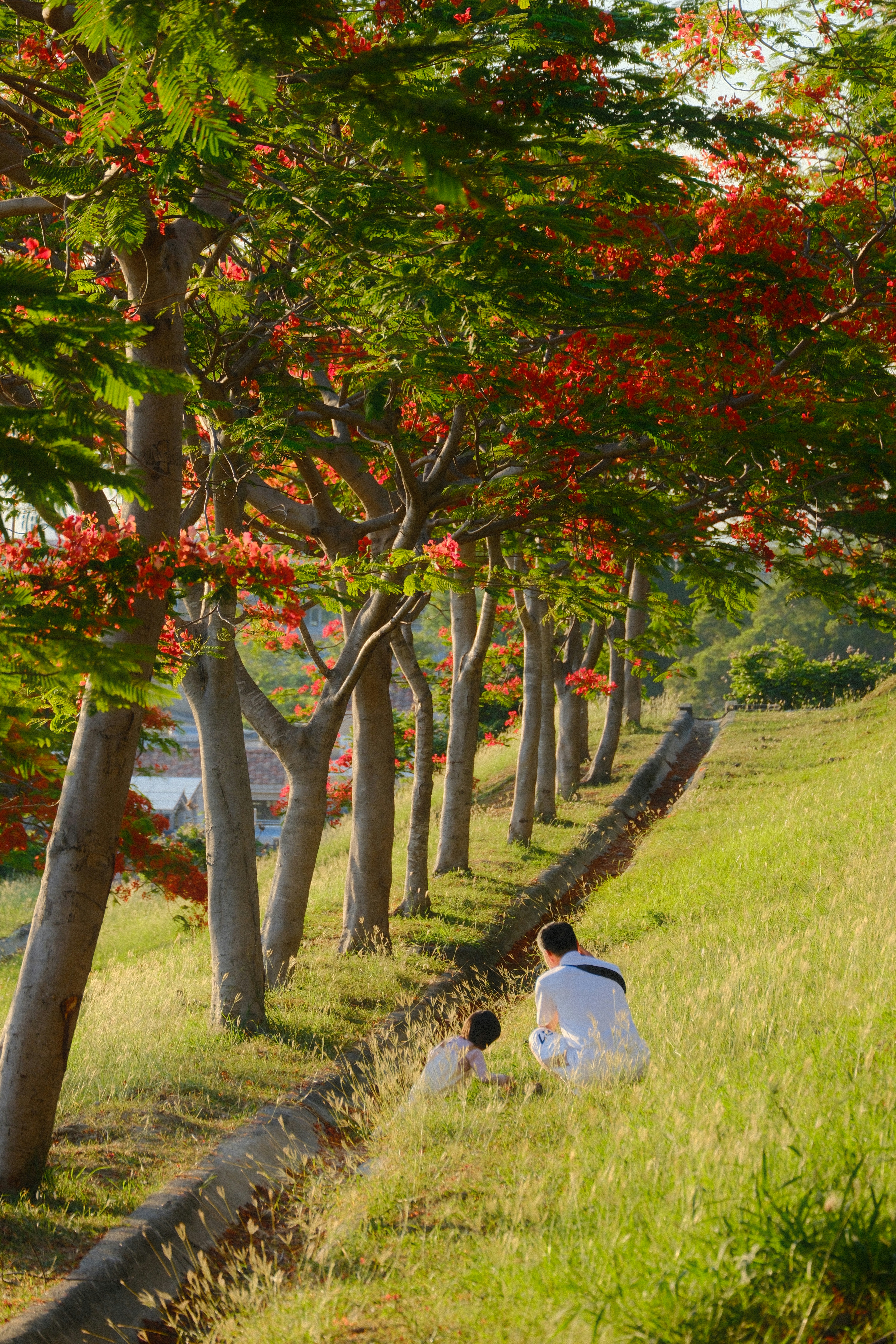 2026-08-read-your-photography-hakone-tozan-image-3