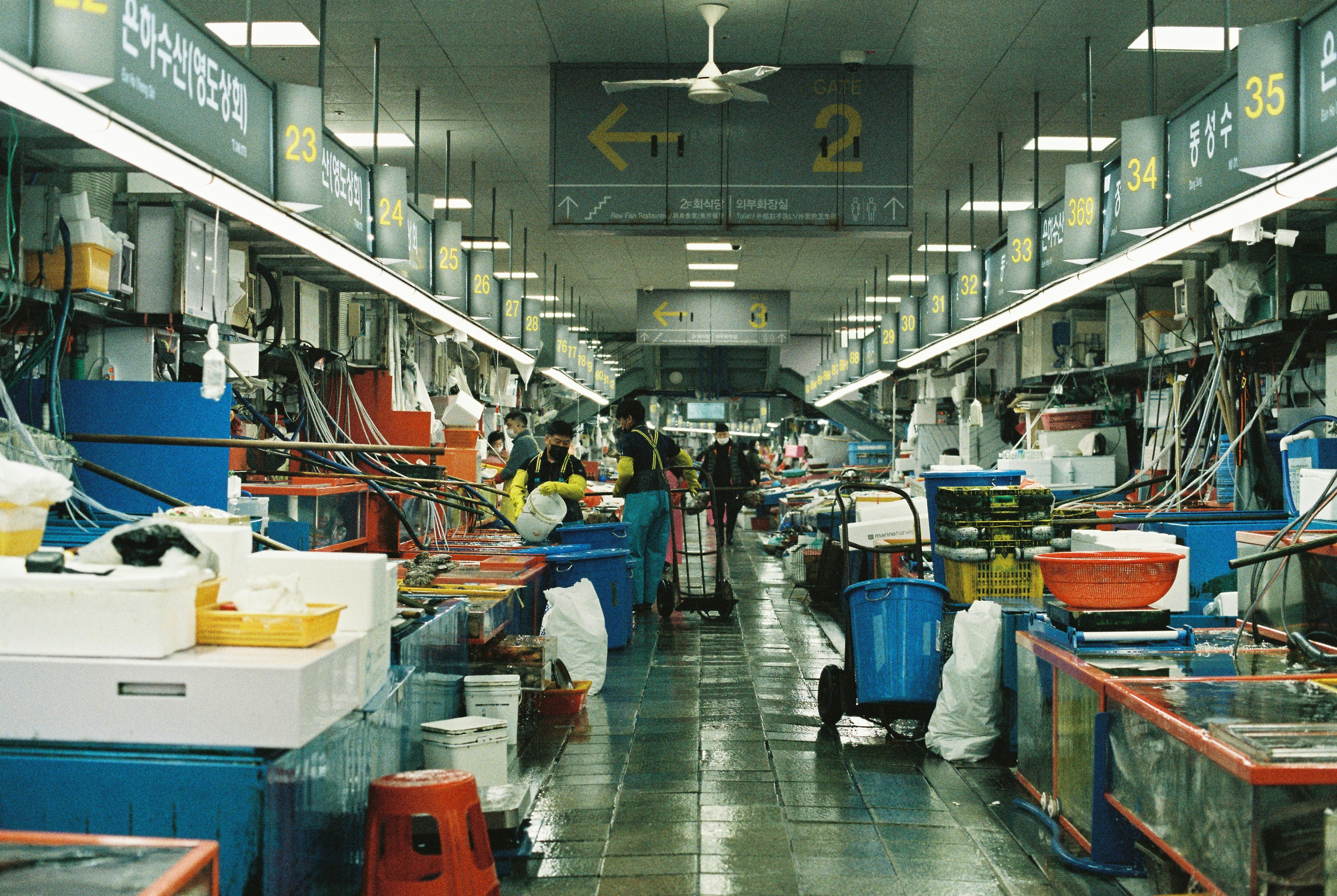 2026-06-any-beginning-is-fine-minolta-x300-image-8