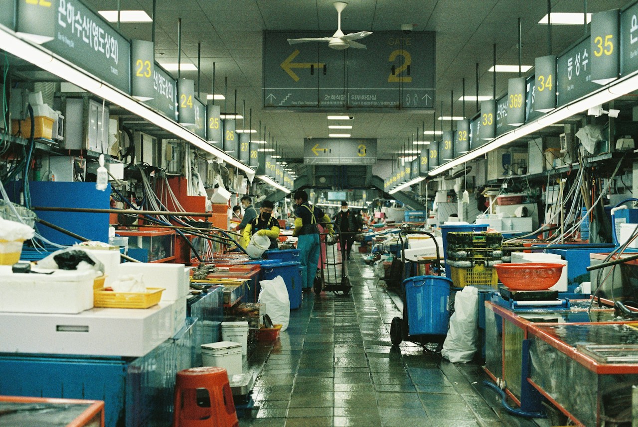 Foto von 白霜