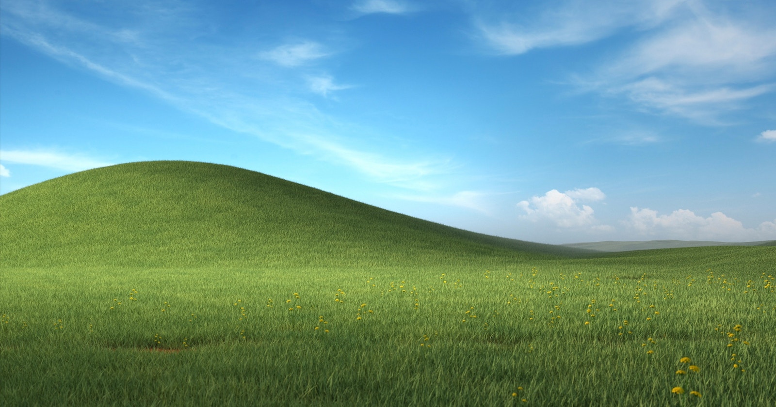 The Story Behind the Creation of Windows XP’s Iconic Background <Bliss> | Knowledge #8
