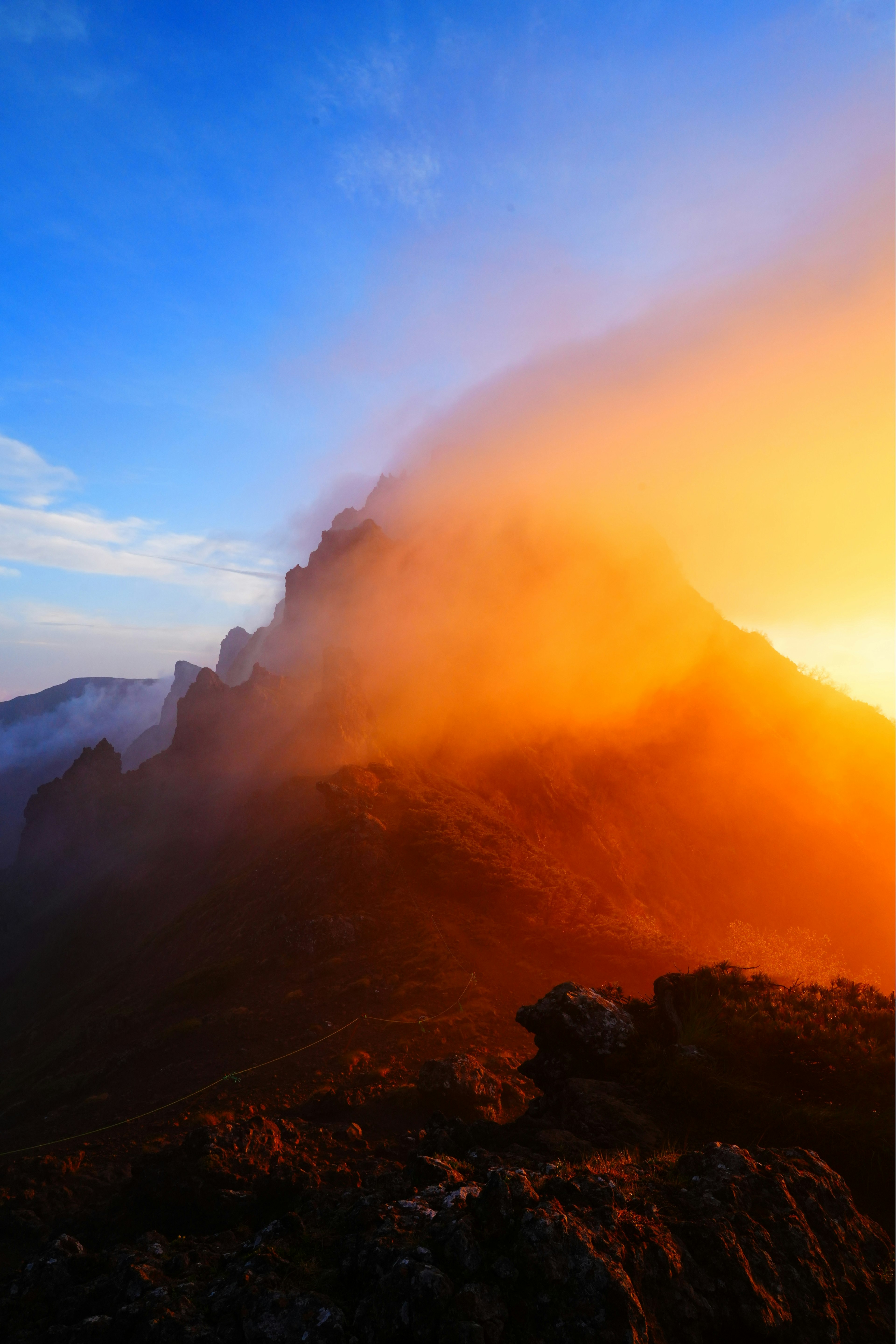 Neat Tips About How Does Evf Work Blog | Beth Bourdon