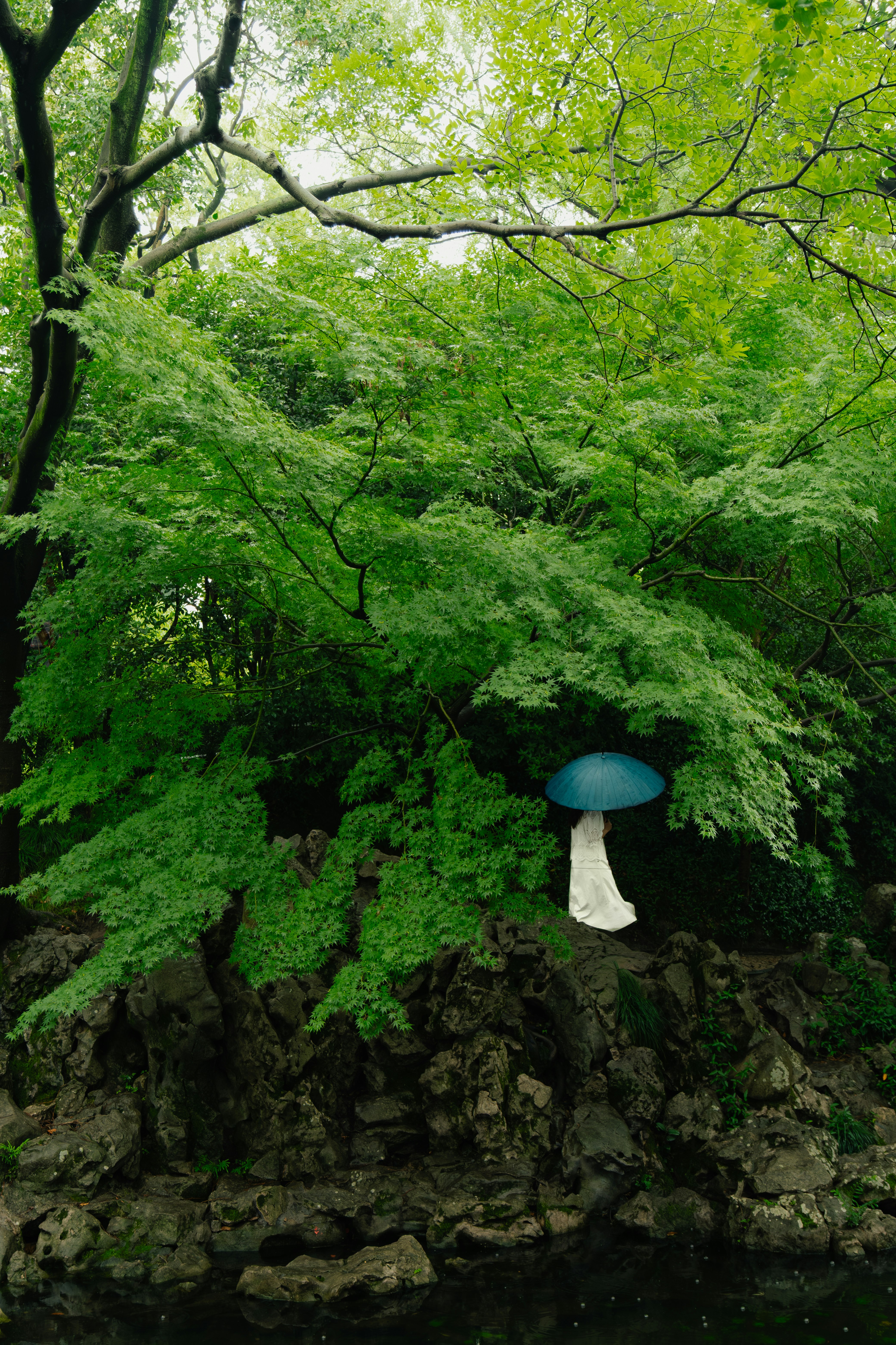 2026-03-ppp-review-by-mildlywildthings-image-14