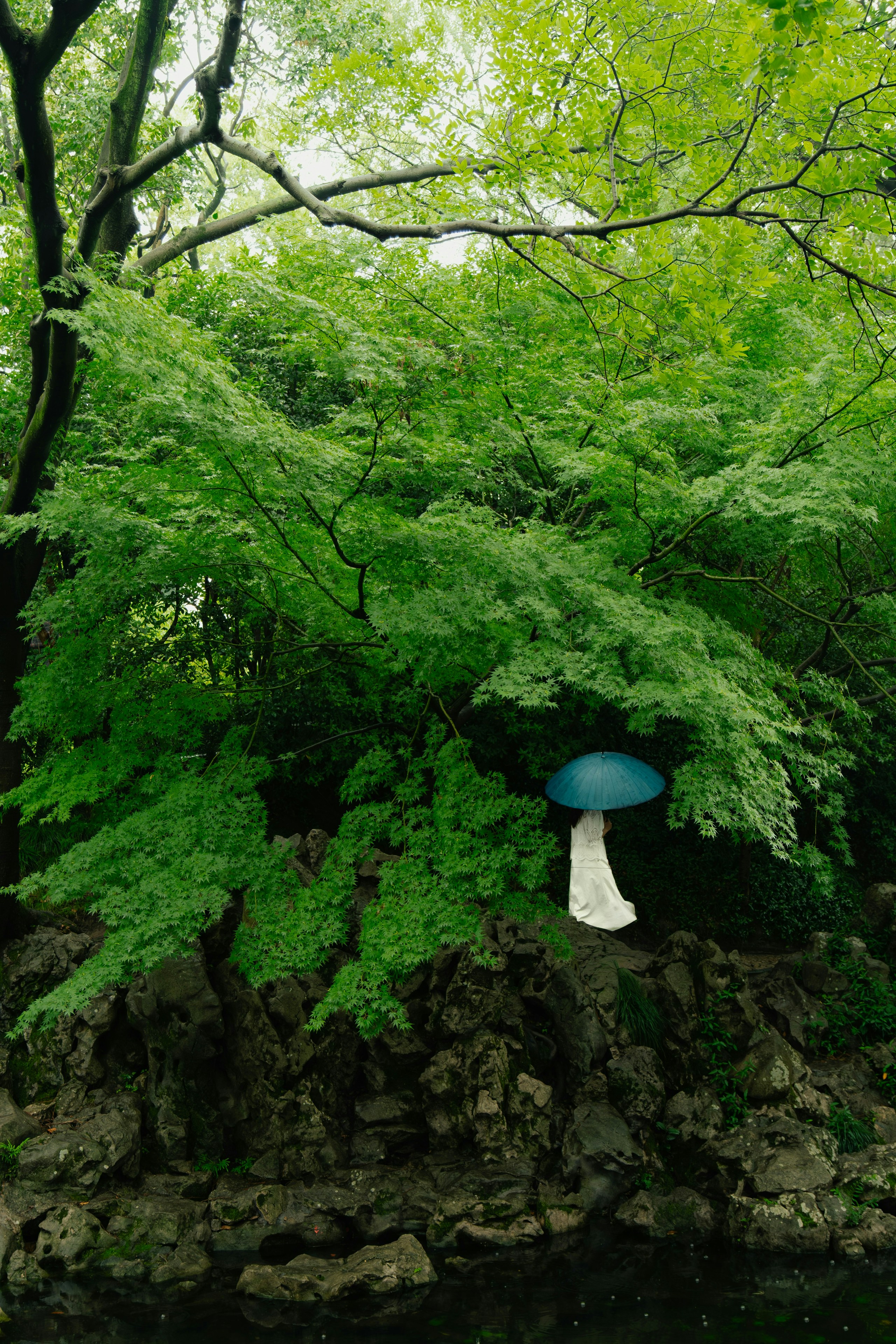 2026-03-ppp-review-by-mildlywildthings-image-14