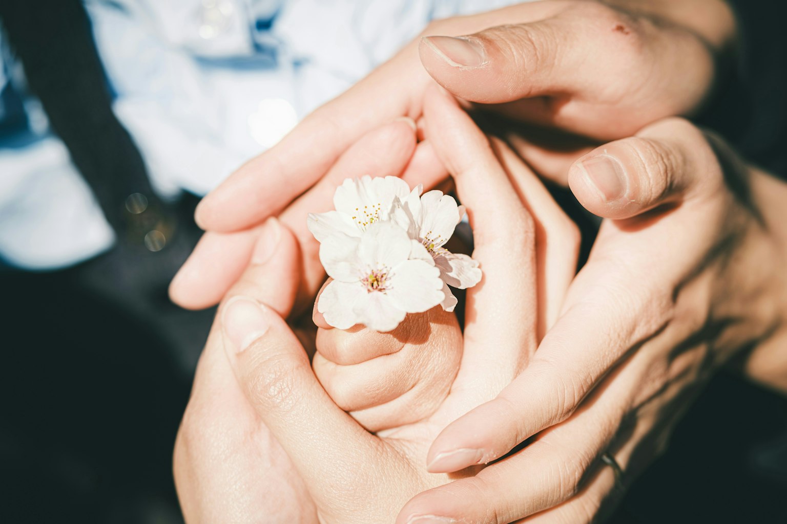 2025-06-blossoms-for-you-award-image-15
