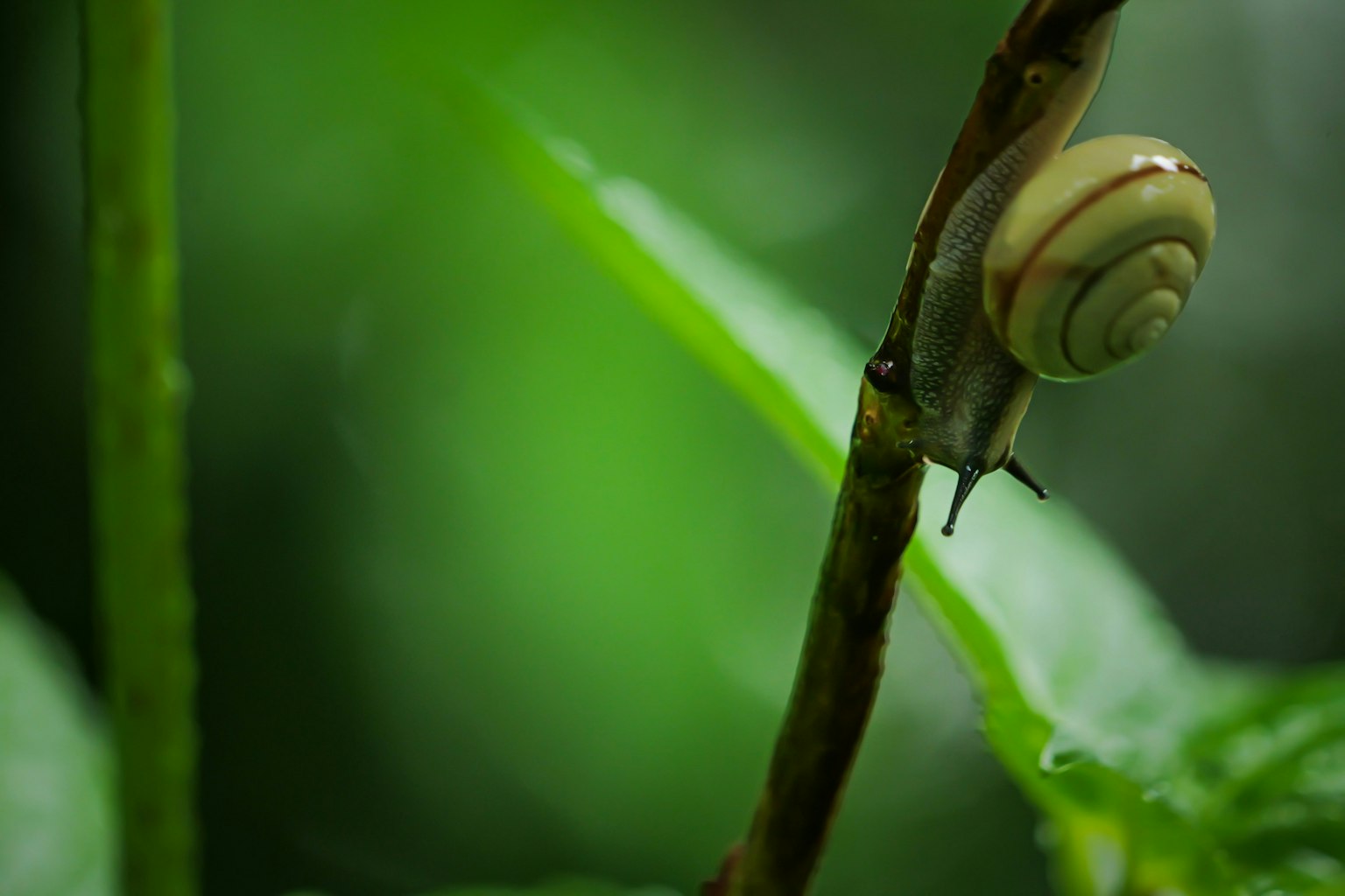 2025-06-rain-report-image-9