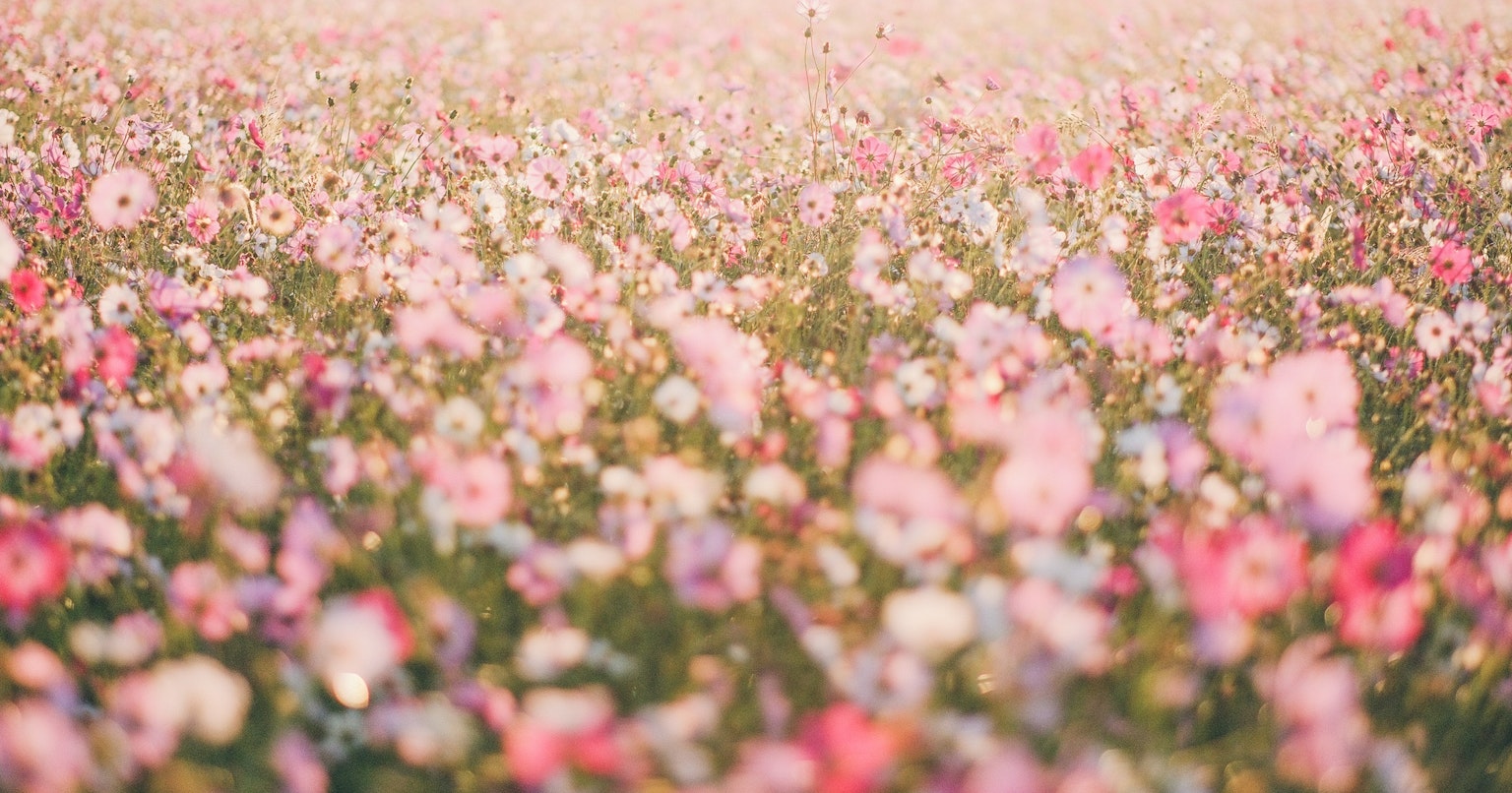 2024-10-ai-camera-market-growth-future-cover-image